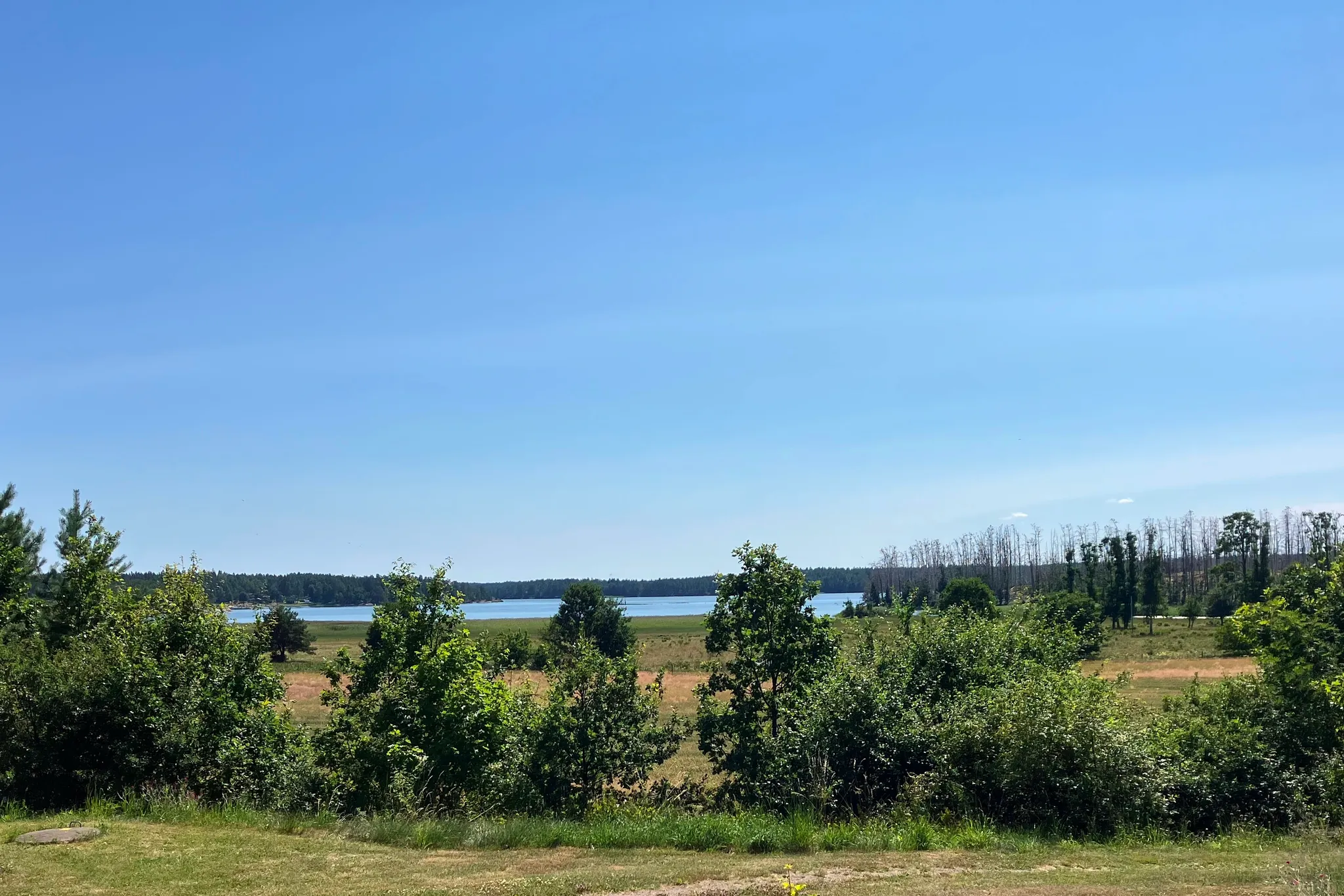 Fem lokala kreatörer i Edgards hus