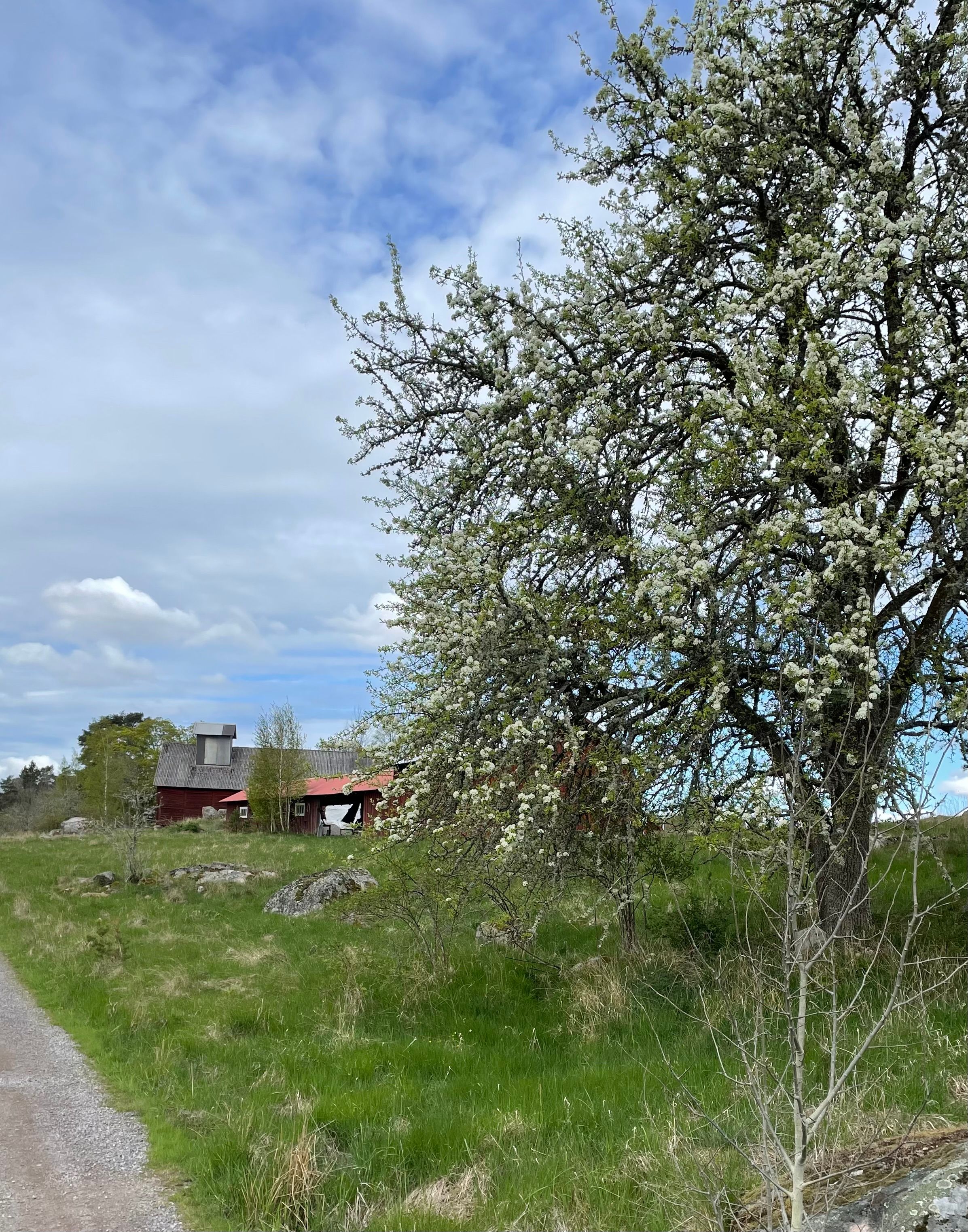 Upplev Torsjö Loge!