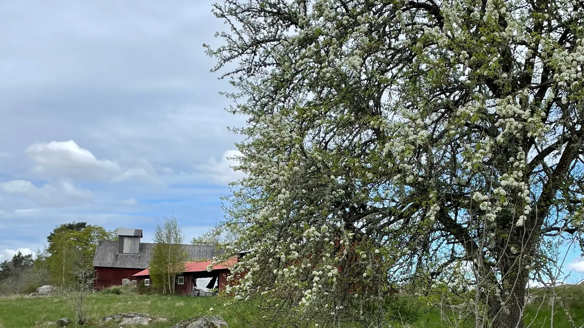 Upplev Torsjö Loge!