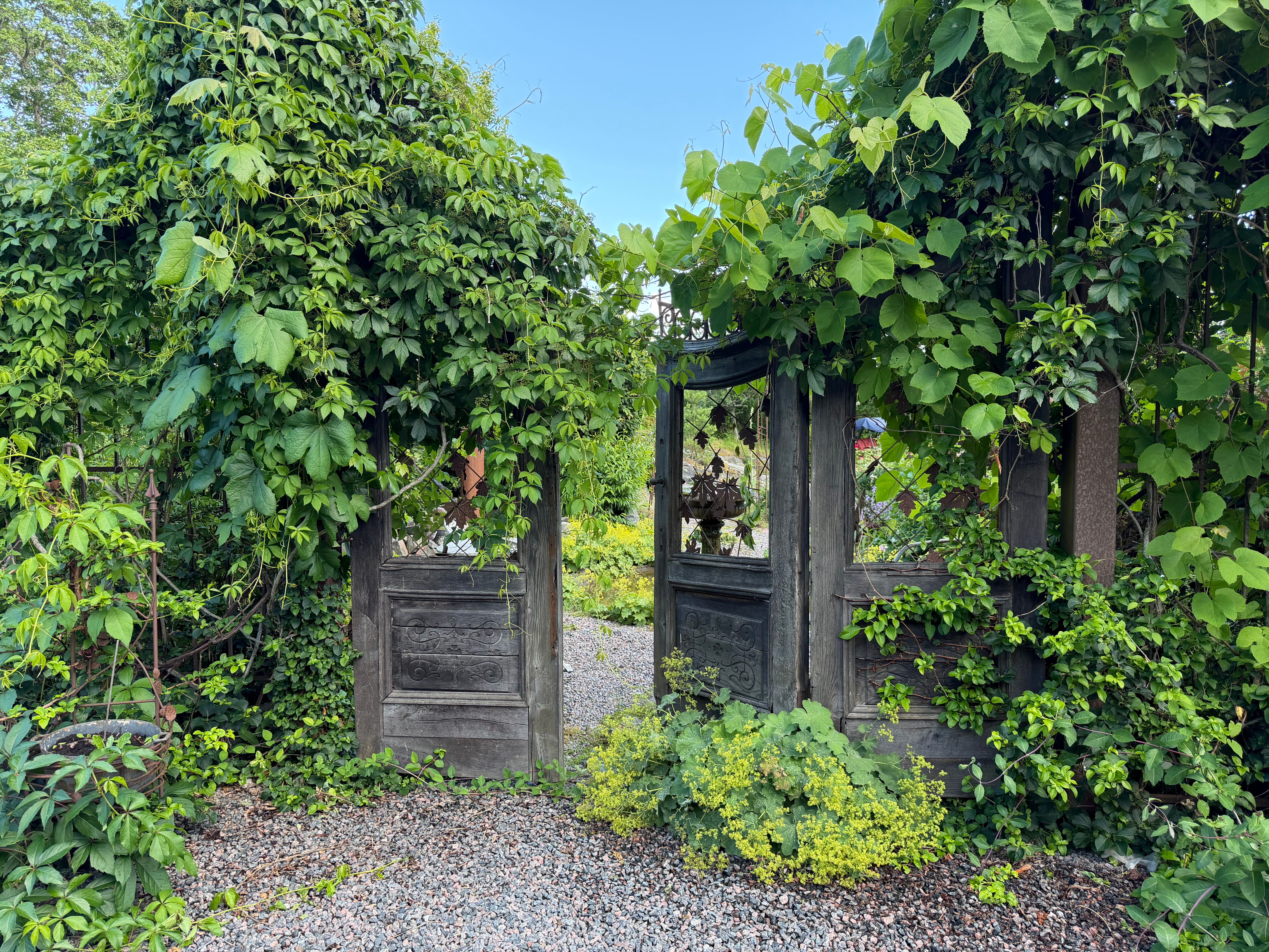 Trädgårdsvandring