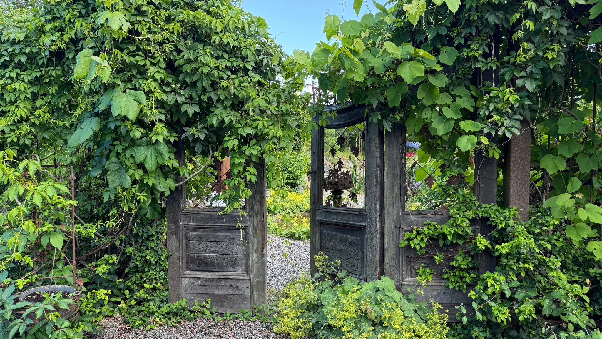 Trädgårdsvandring