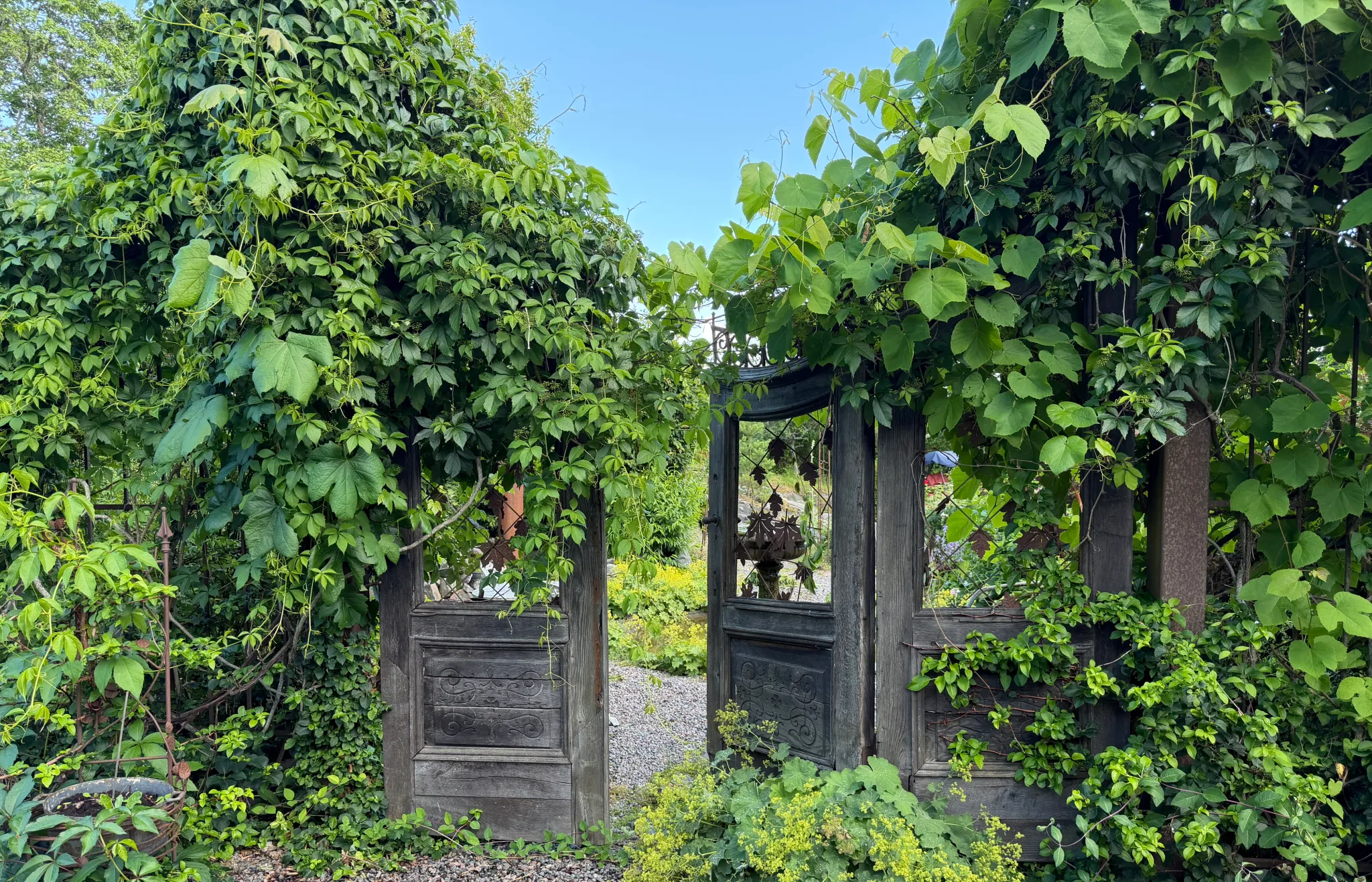 Trädgårdsvandring