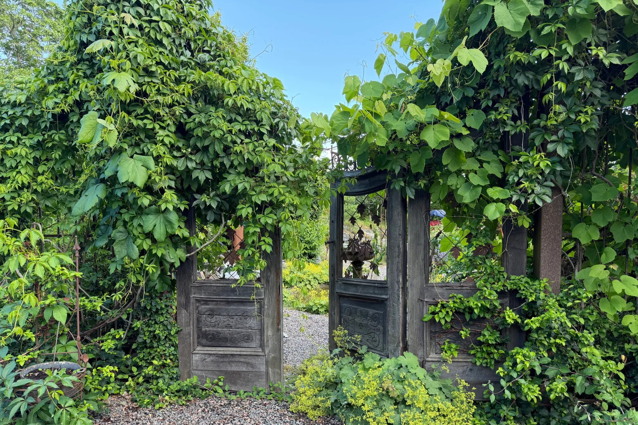 Trädgårdsvandring