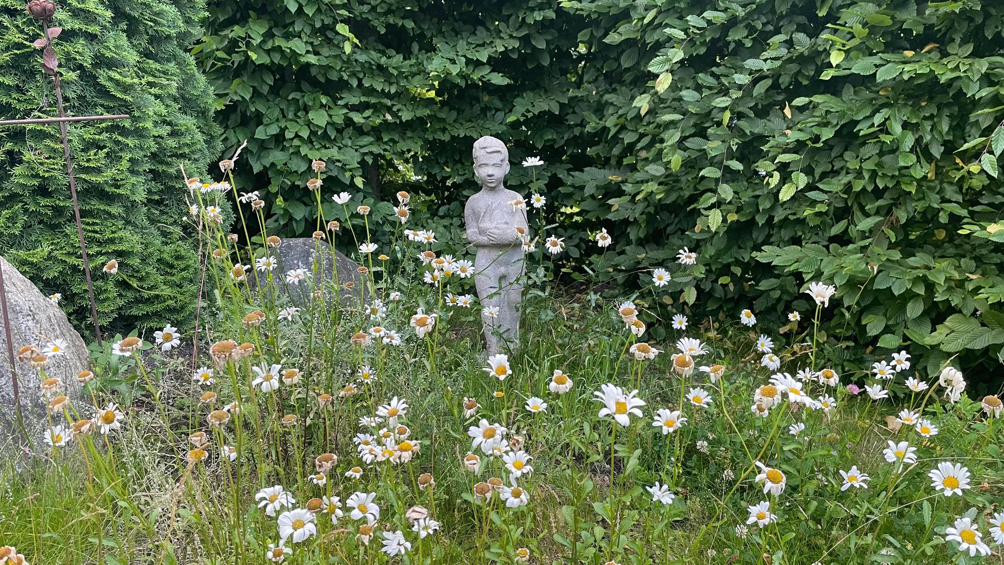Mindfulness-musik framförd av Anders Dahlsted