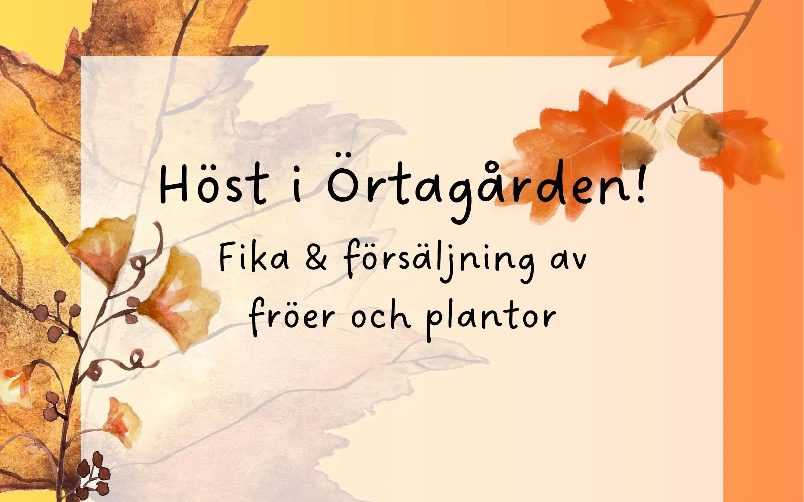 Höst i Örtagården
