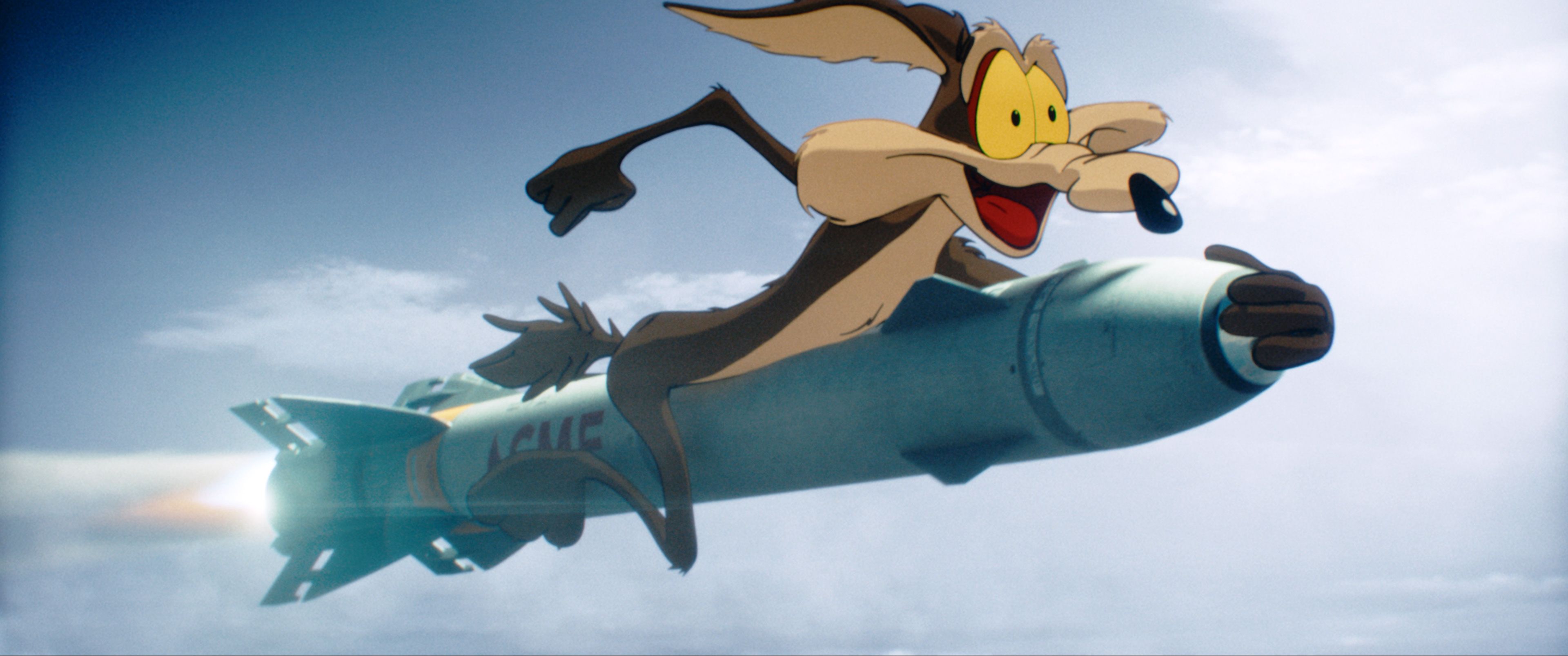 Coyote vs ACME