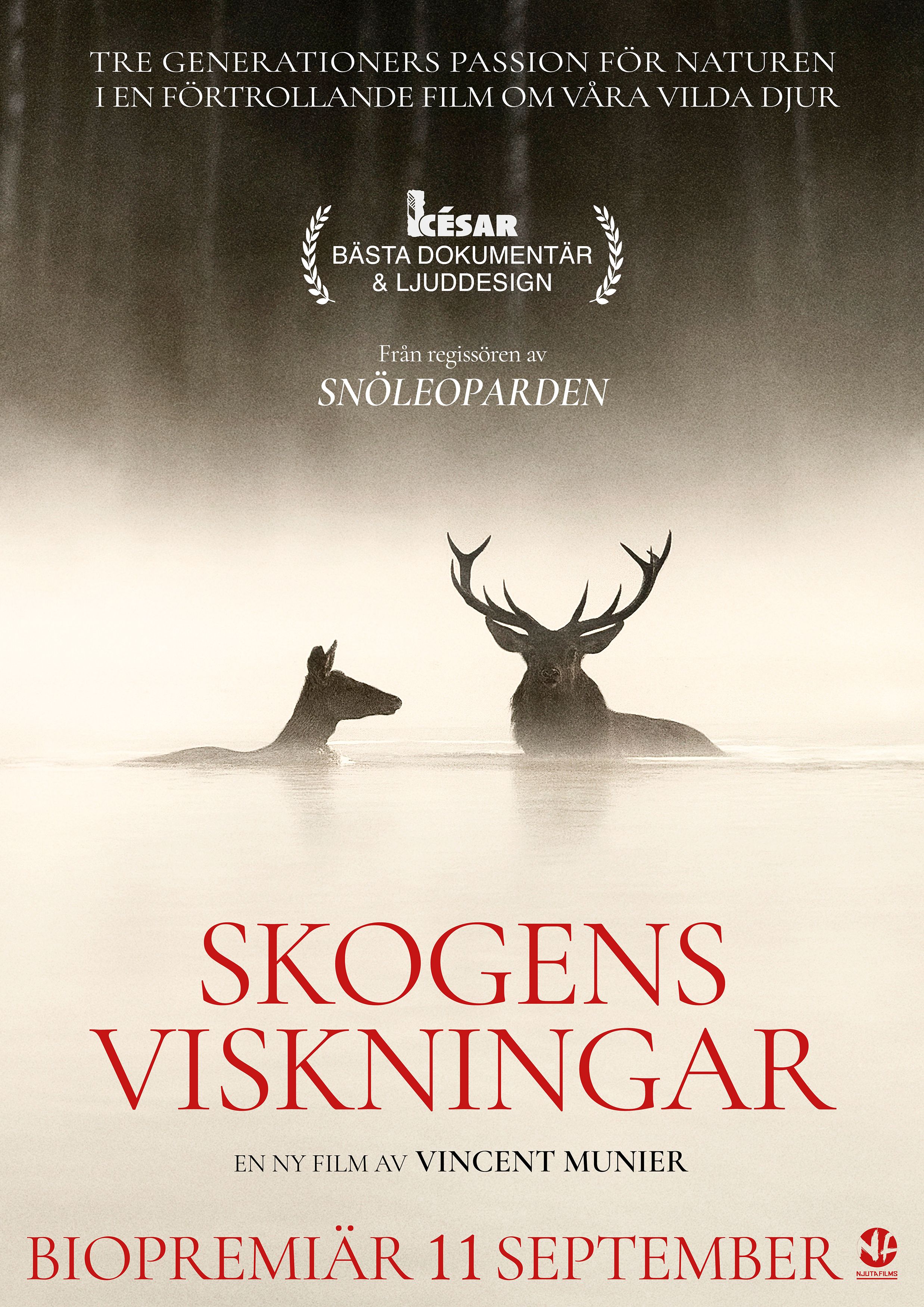 Skogens viskningar