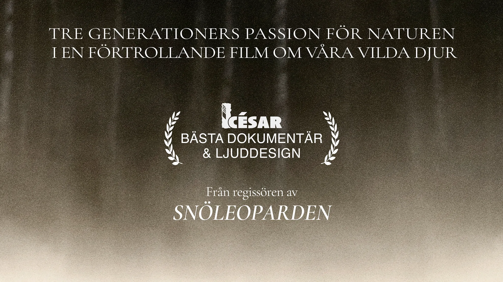 Skogens viskningar