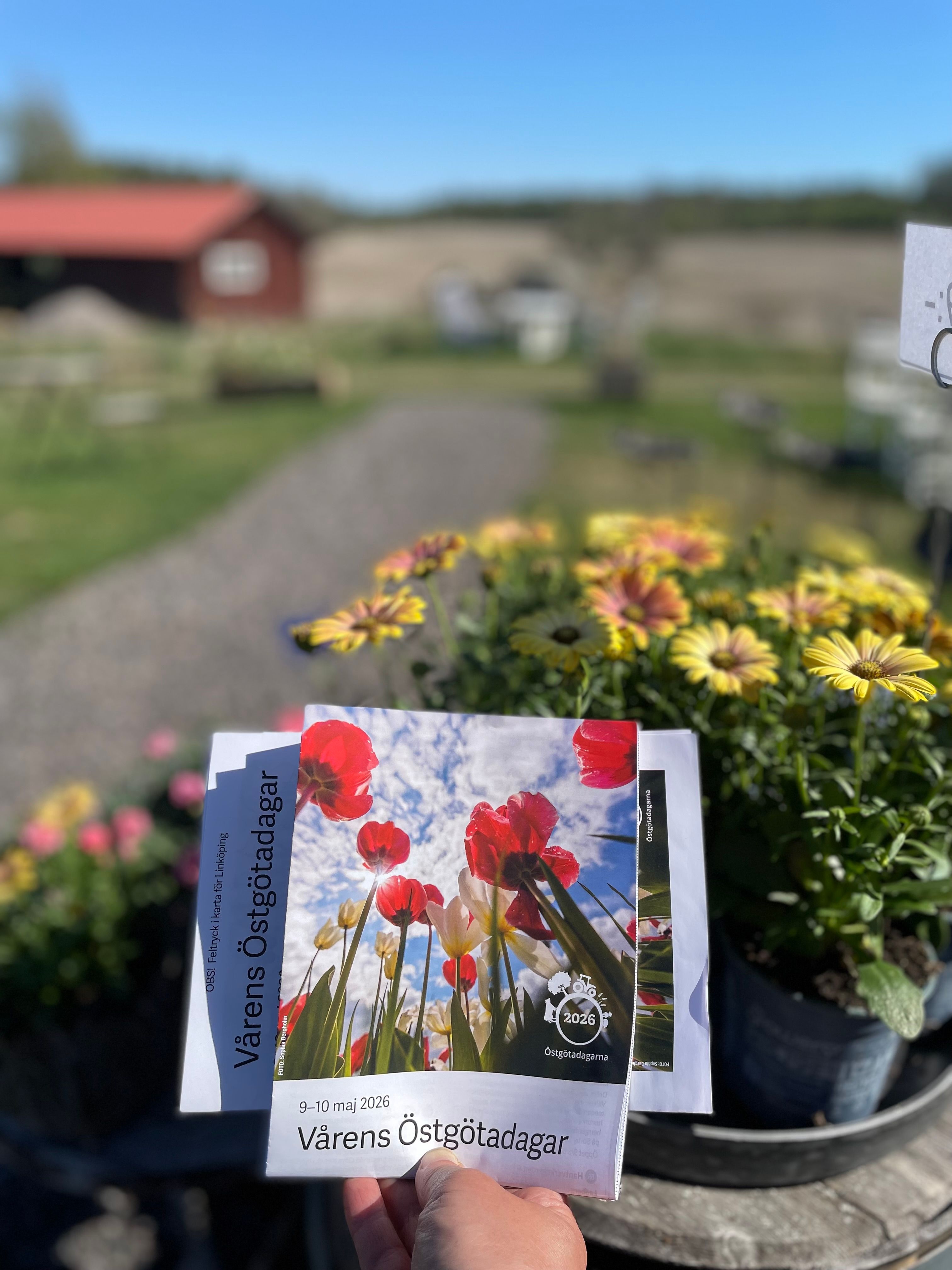 Upplev Torsjö Loge!