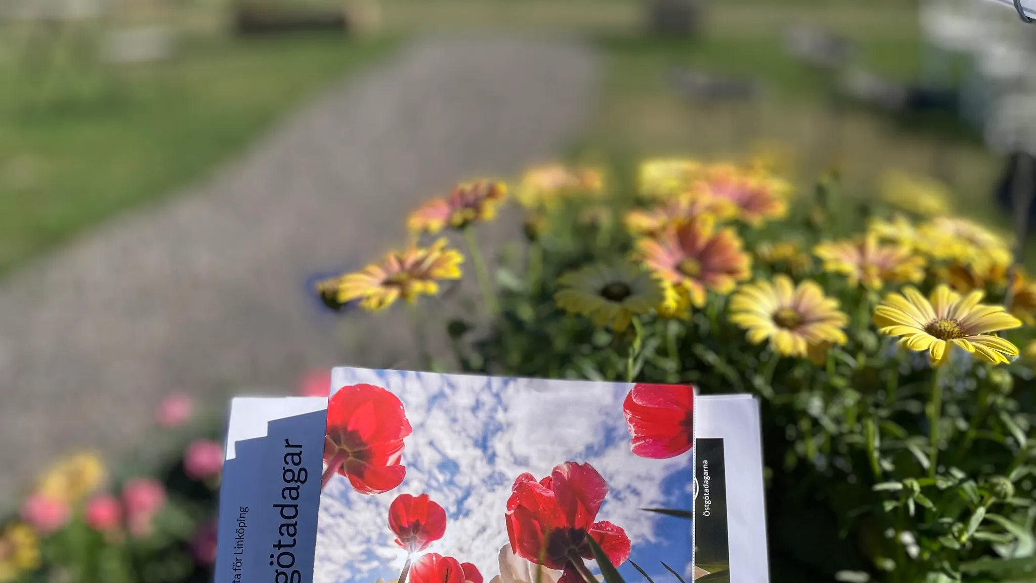 Upplev Torsjö Loge!
