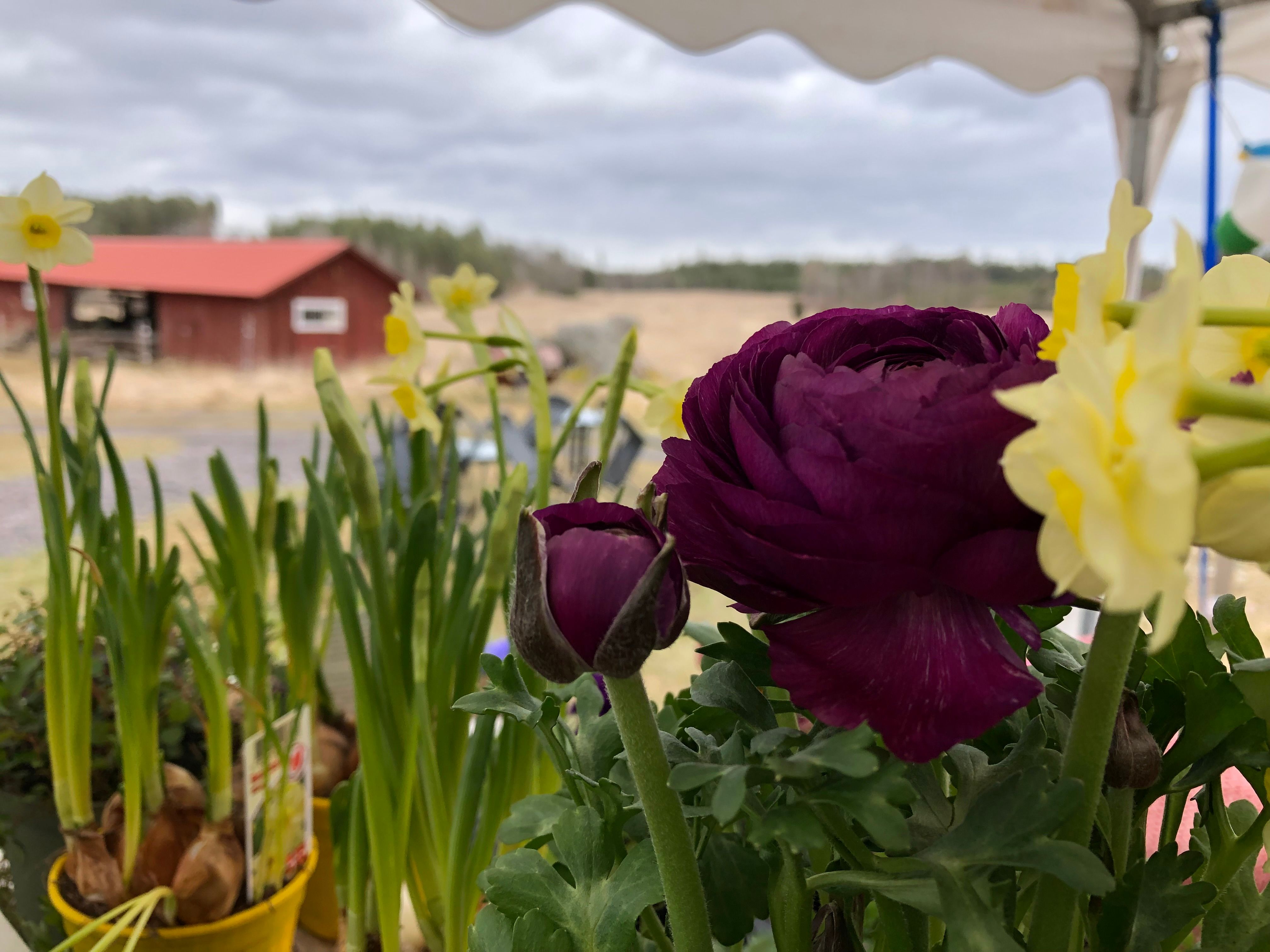 Season Opening & 5-Year Anniversary at Torsjö Loge