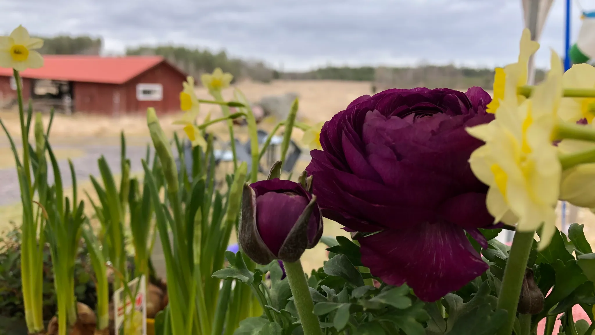 Season Opening & 5-Year Anniversary at Torsjö Loge