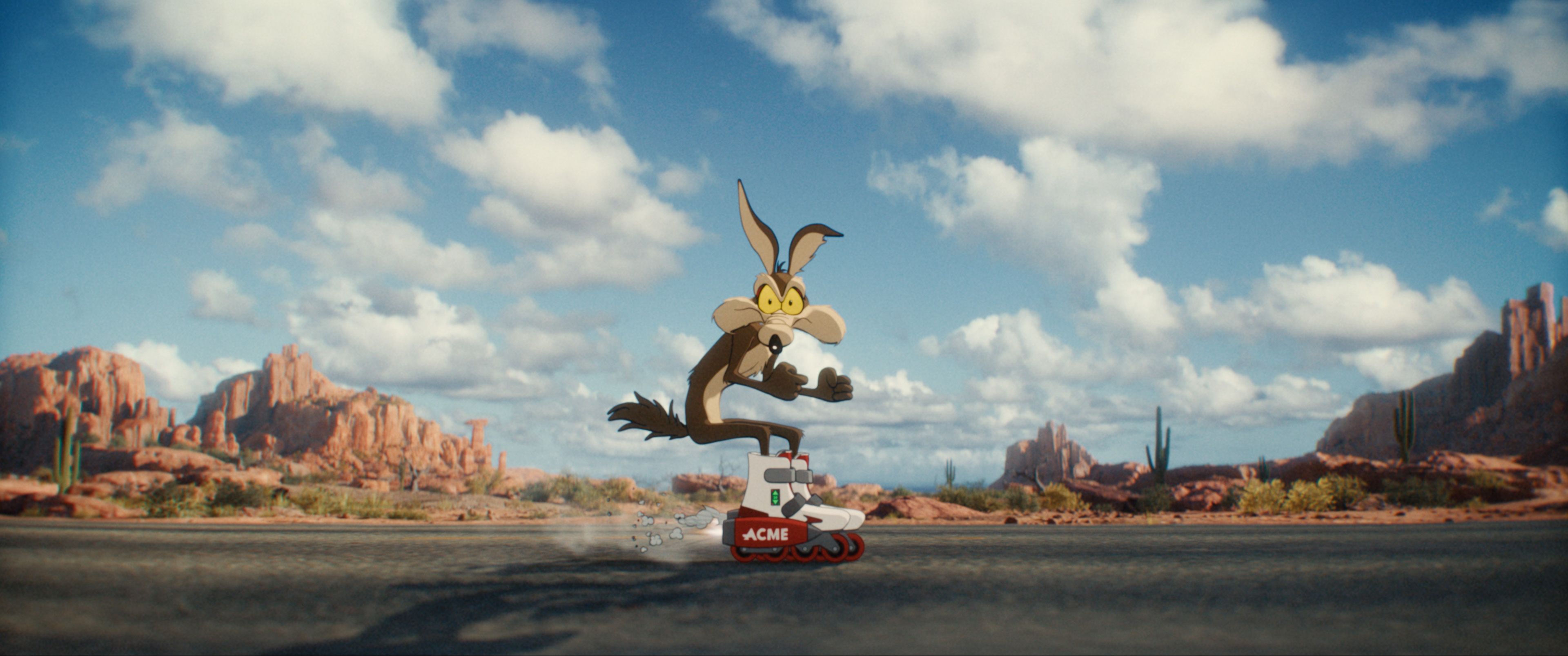 Coyote vs ACME