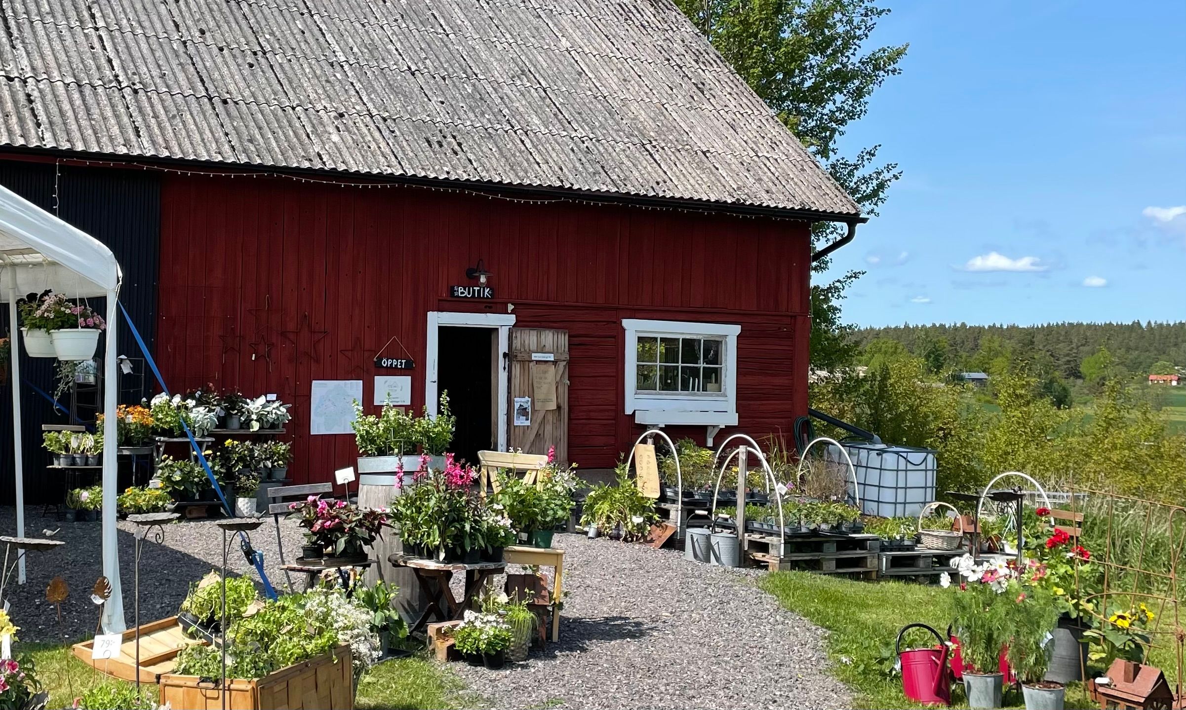 Upplev Torsjö Loge!