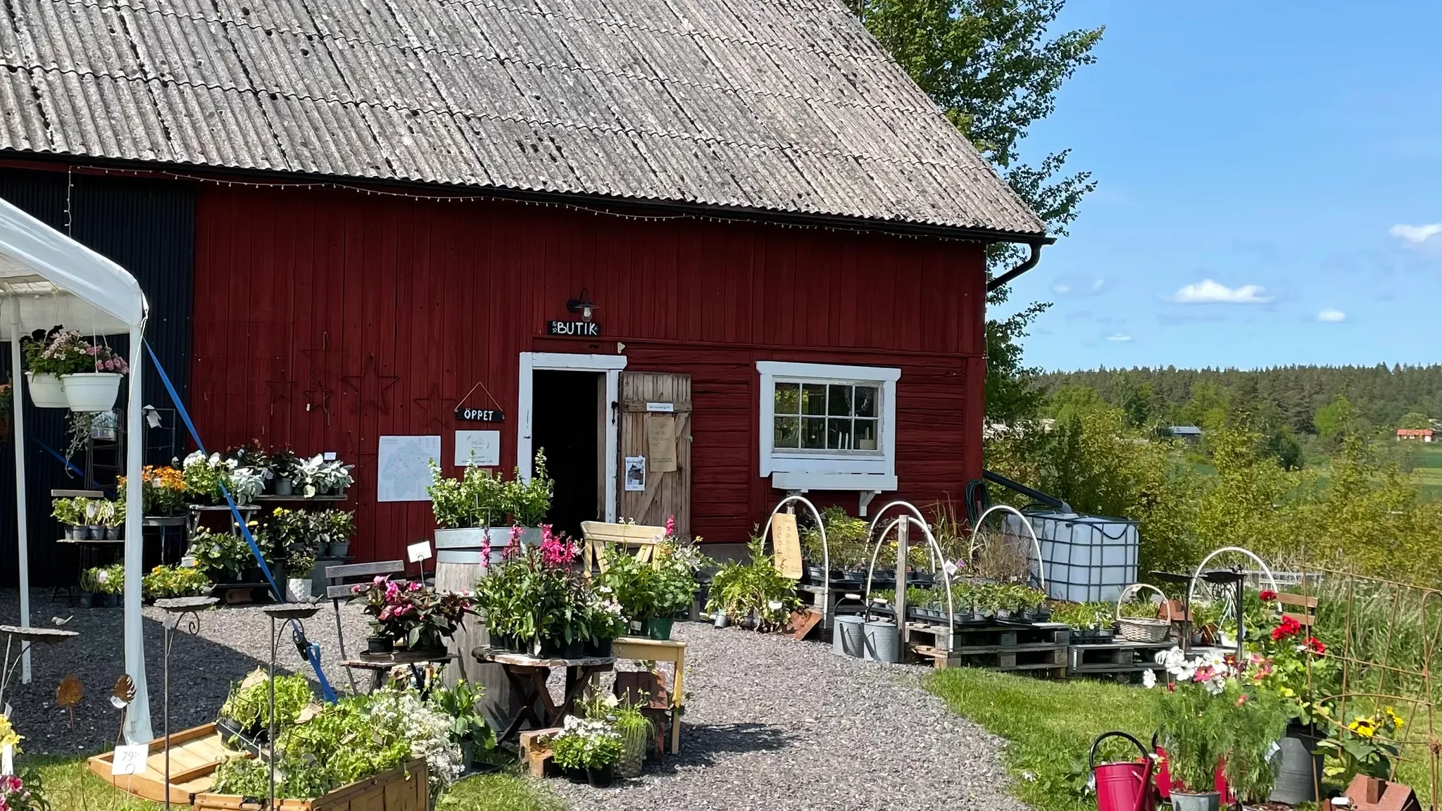 Upplev Torsjö Loge!
