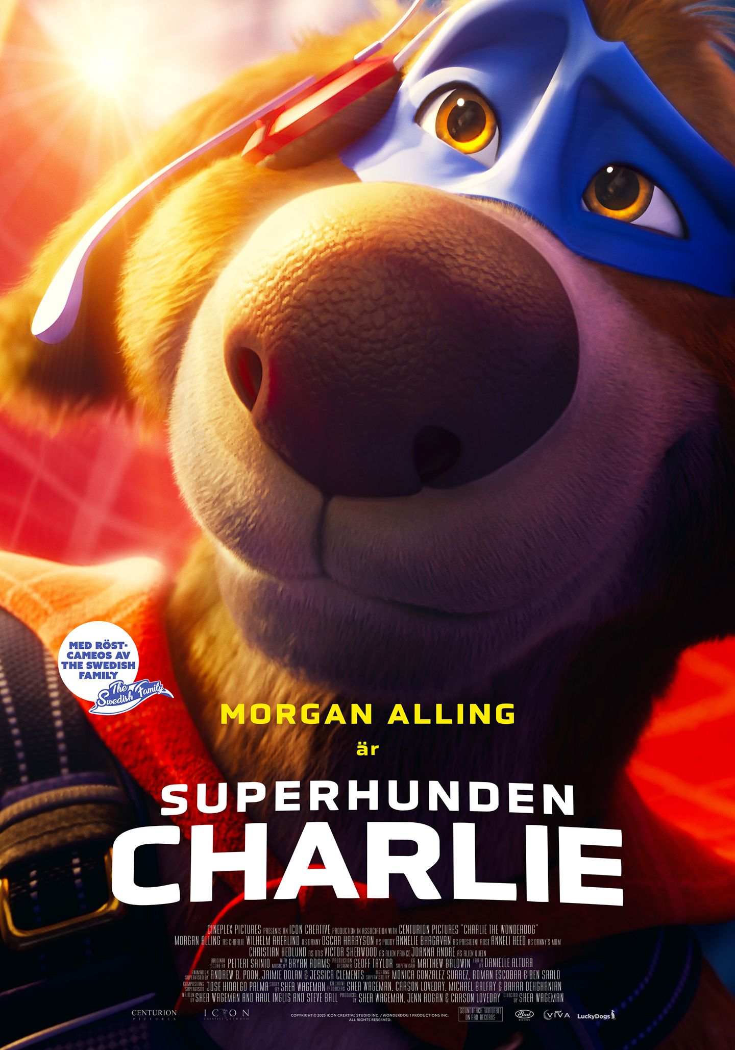 Charlie the wonderdog