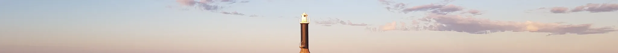 Sälsafari