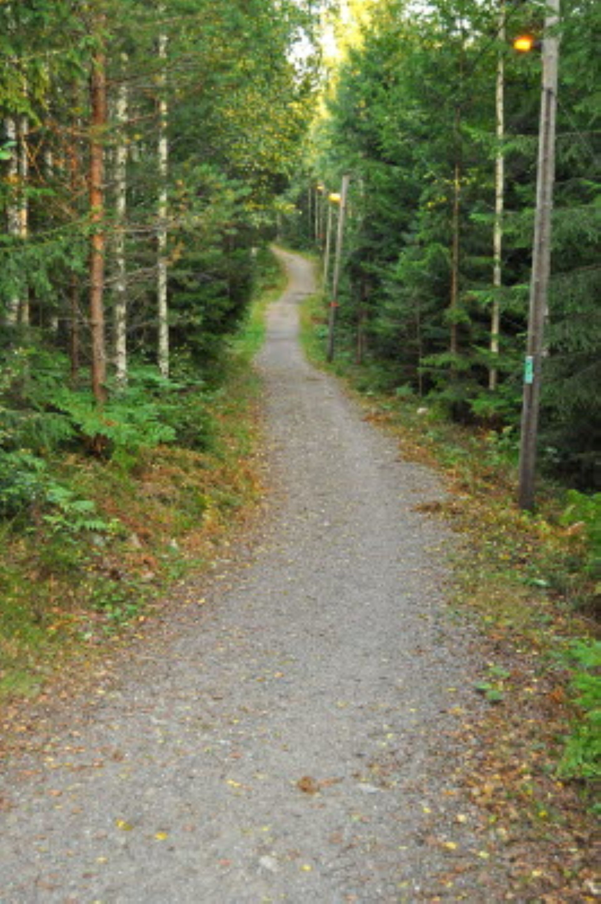 Guidad tur längs Östgötaleden