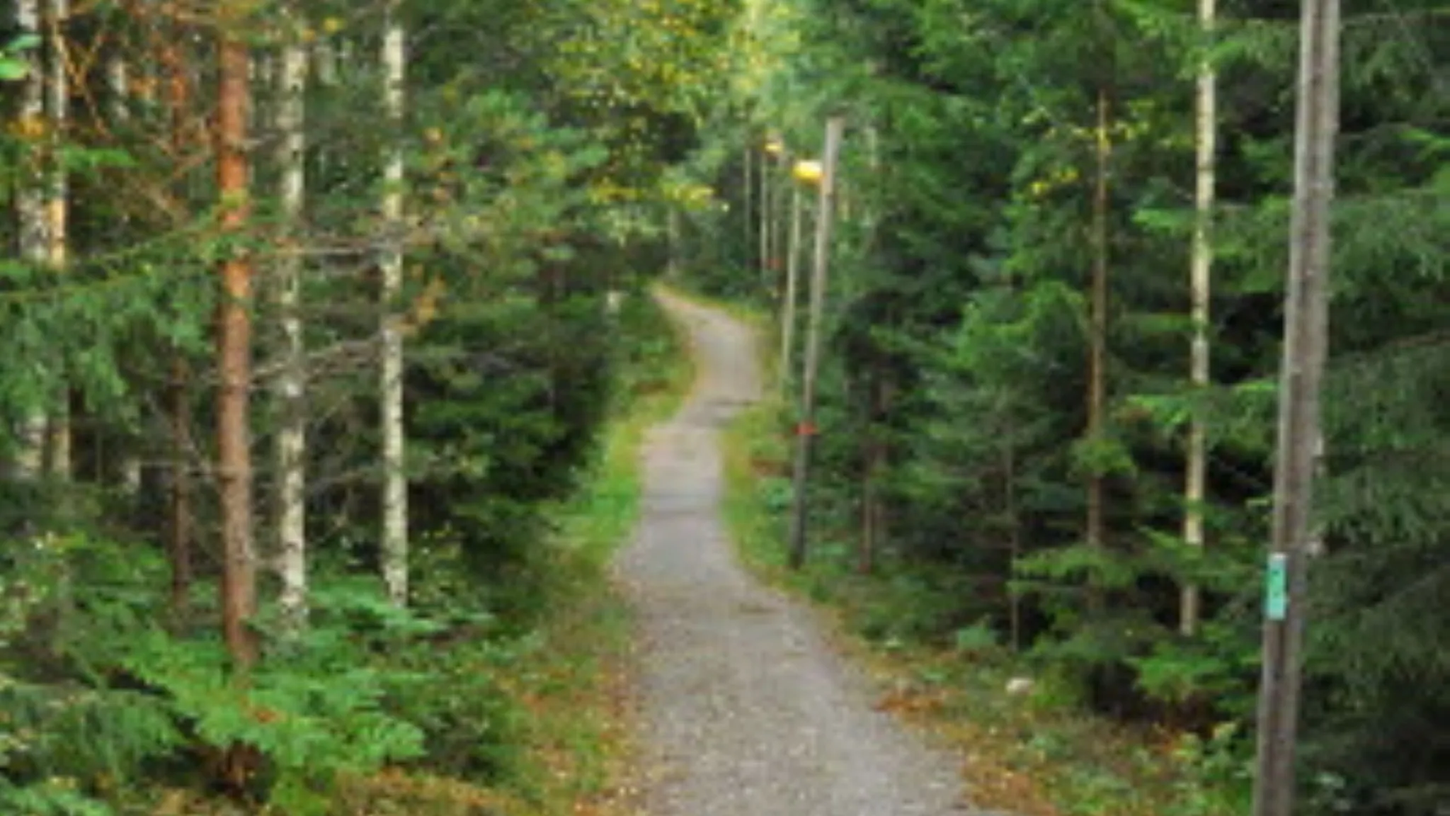 Guidad tur längs Östgötaleden