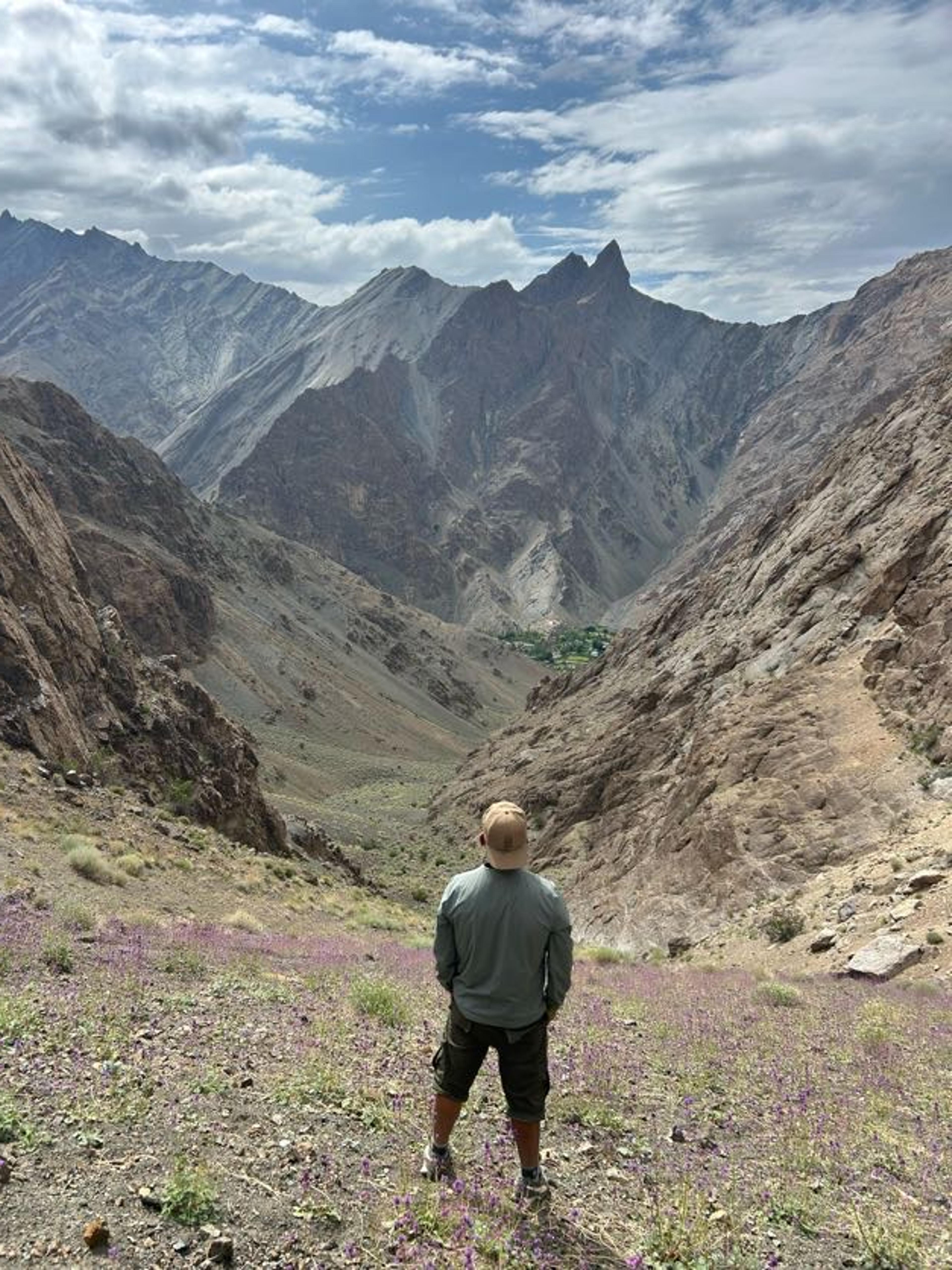 Hiker standing among purple wildflowers looking down a deep valley to a small green village oasis below jagged peaks