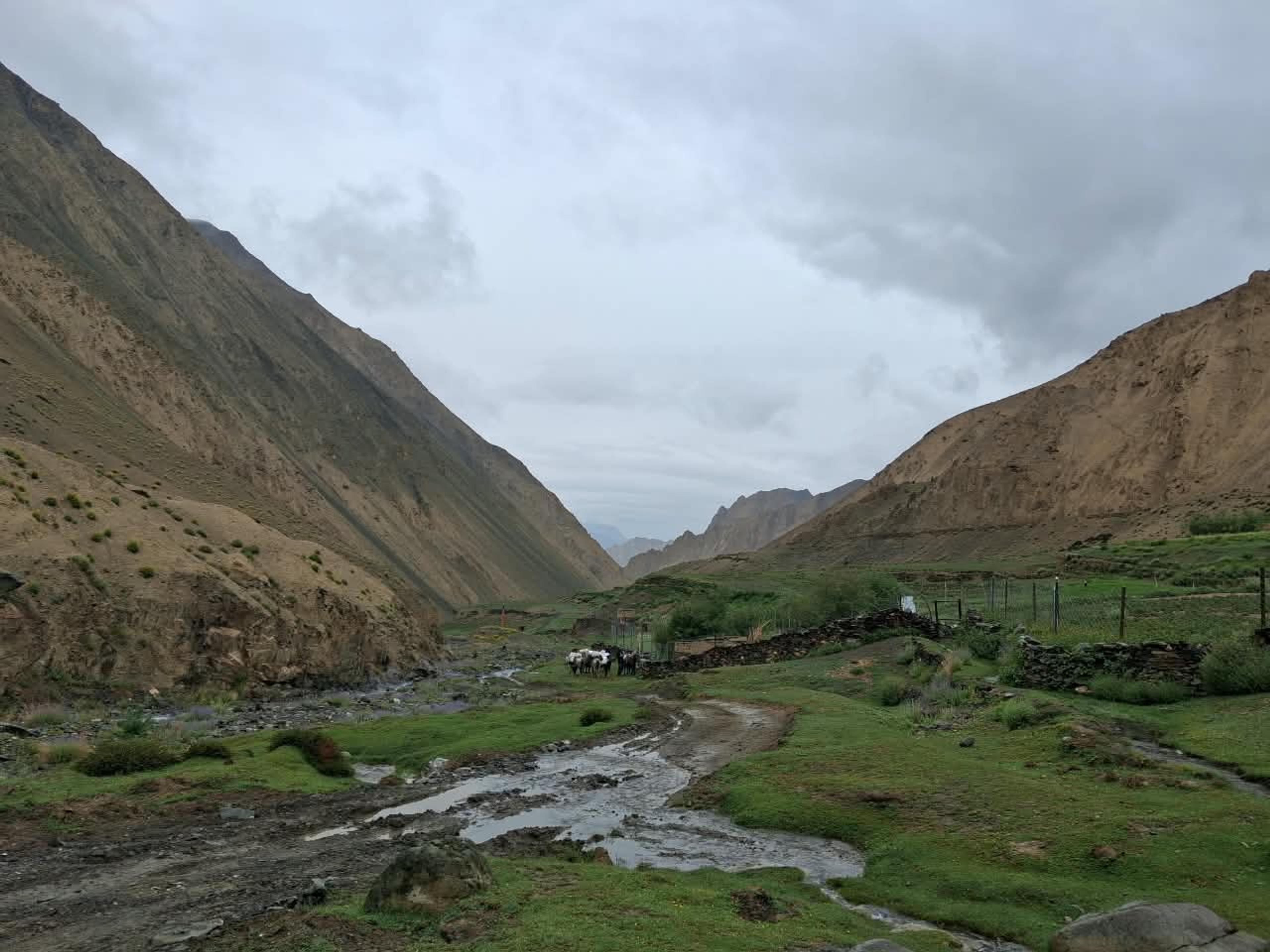 Pack horses beside stone-walled fields and a muddy stream in a green valley, steep brown slopes under heavy cloud