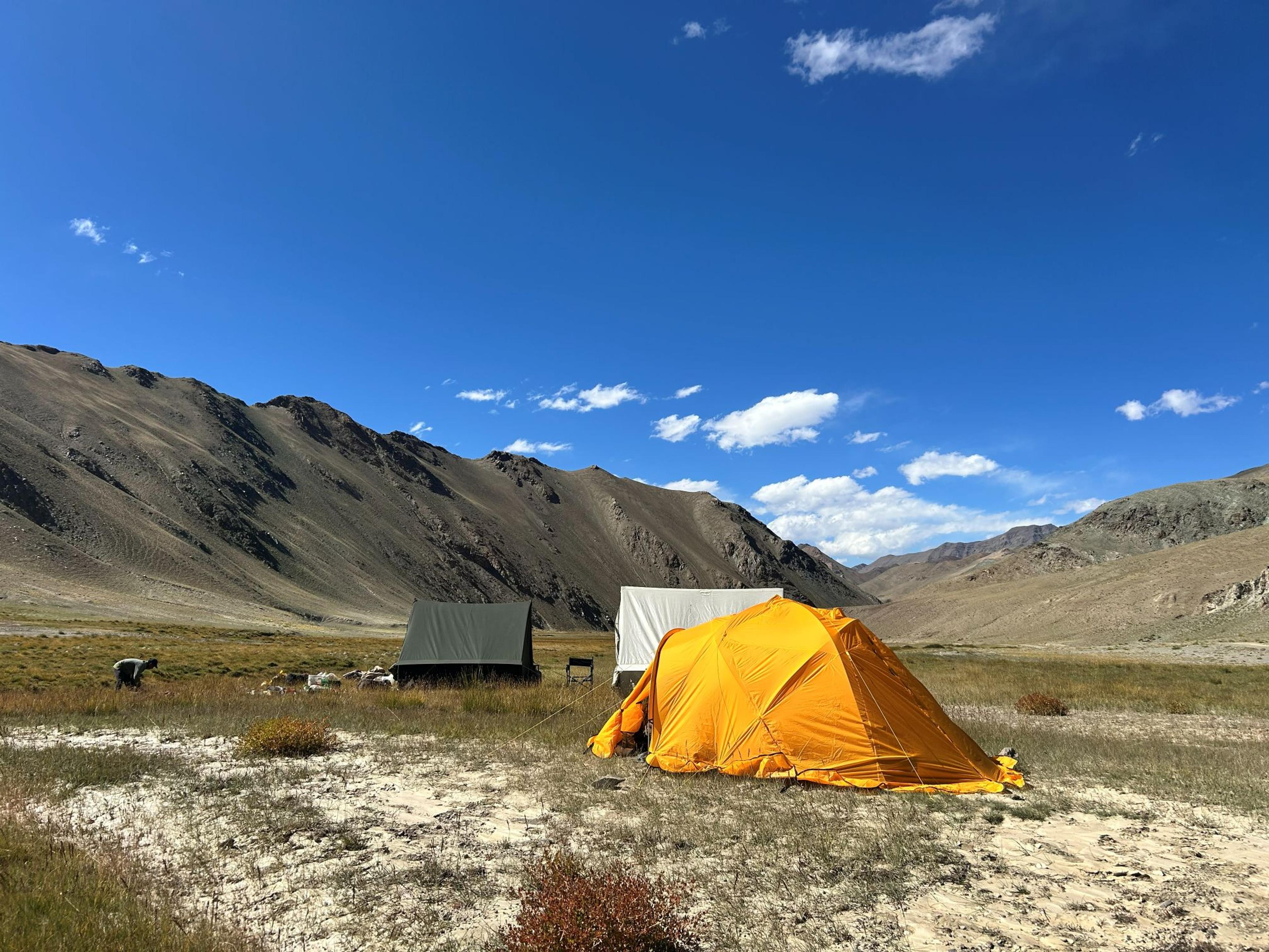 Orange dome tent, green canvas tent and white tent pitched on grassy meadow in a wide Ladakh valley, with brown mountains and a deep blue sky with scattered clouds