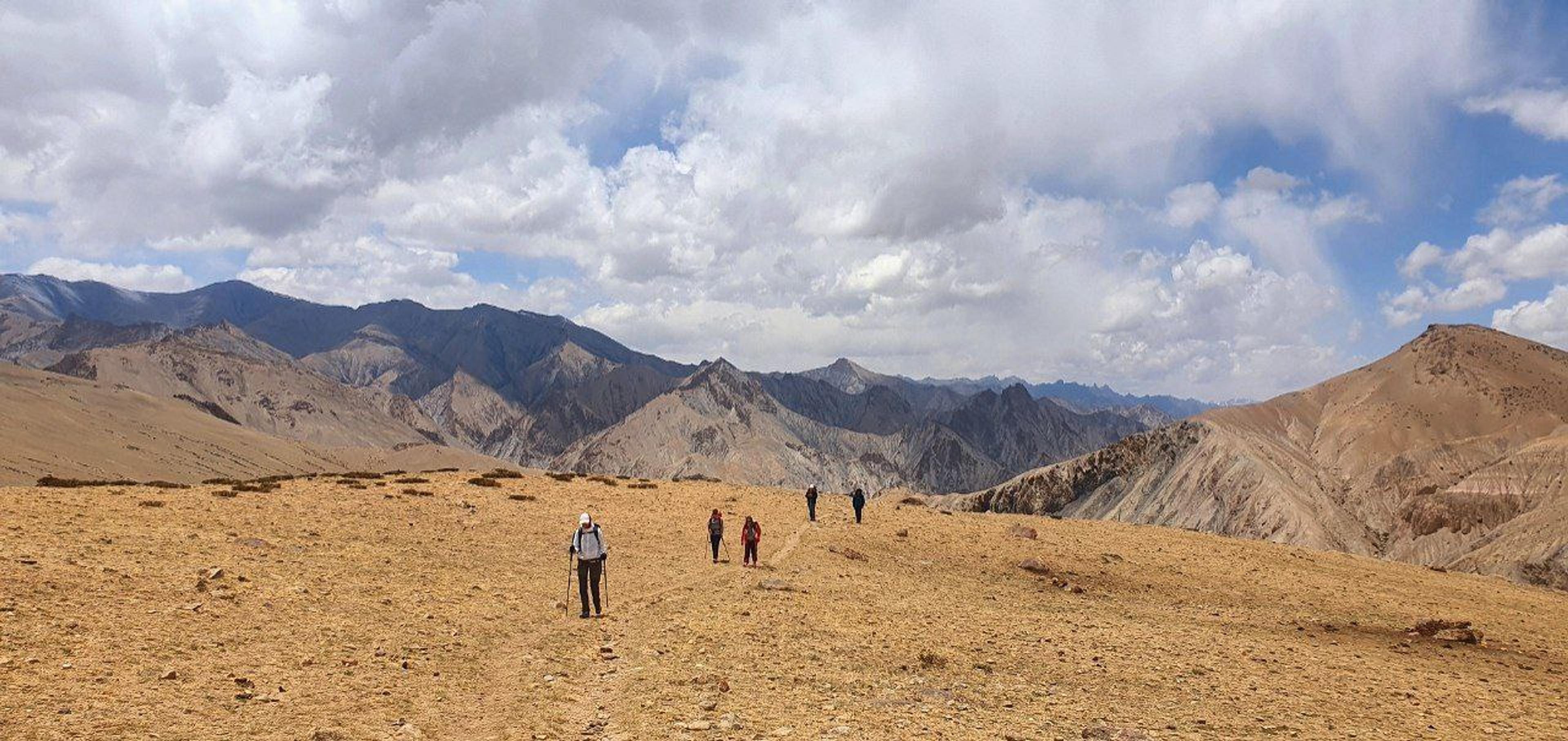 Group of five trekkers with trekking poles walking along a trail on a golden high-altitude plateau, jagged brown mountain ranges and a cloudy blue sky behind them in Ladakh