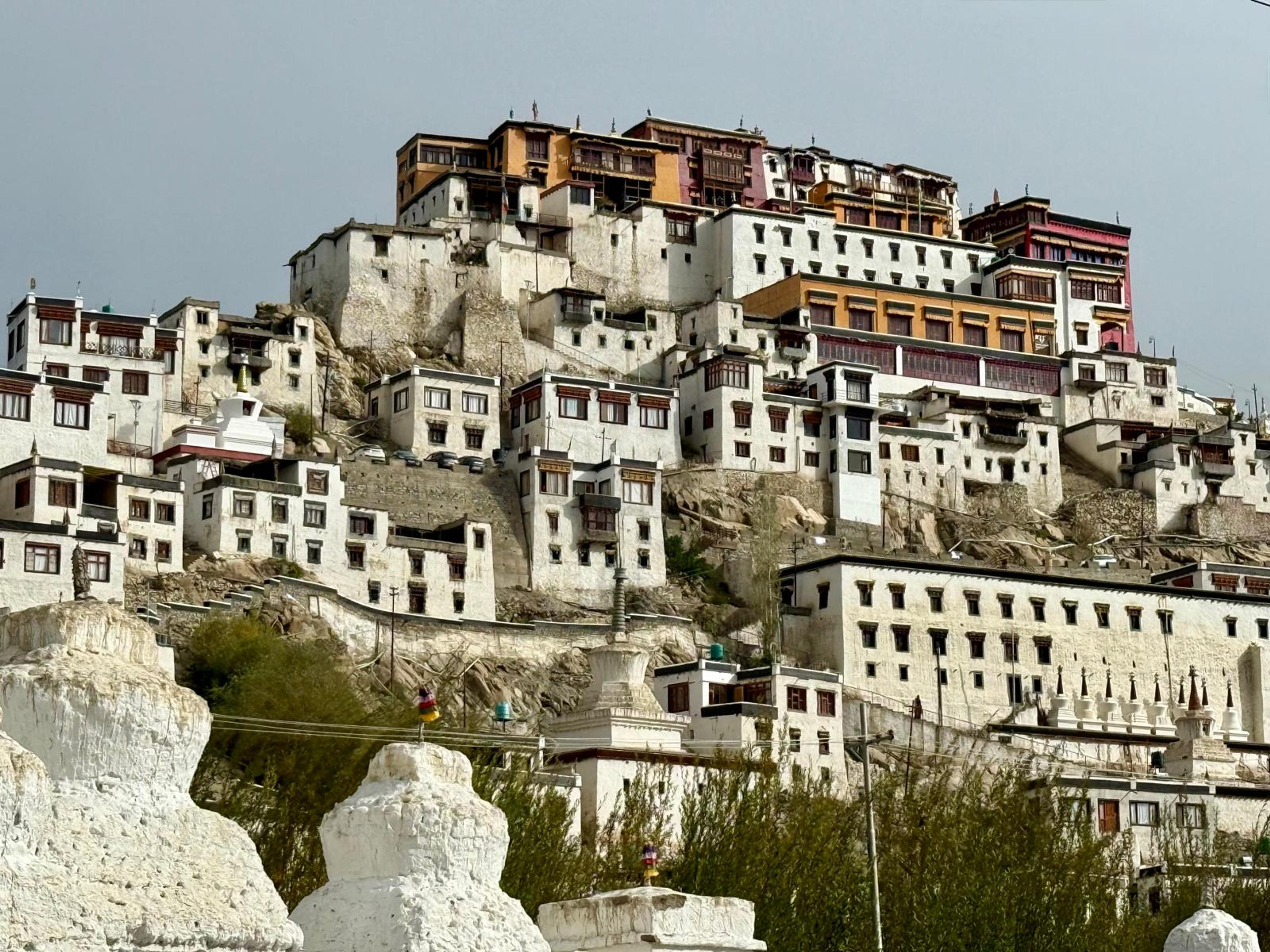 Thiksey monastery's white and ochre buildings stacked up a rocky hillside, with whitewashed chortens in front