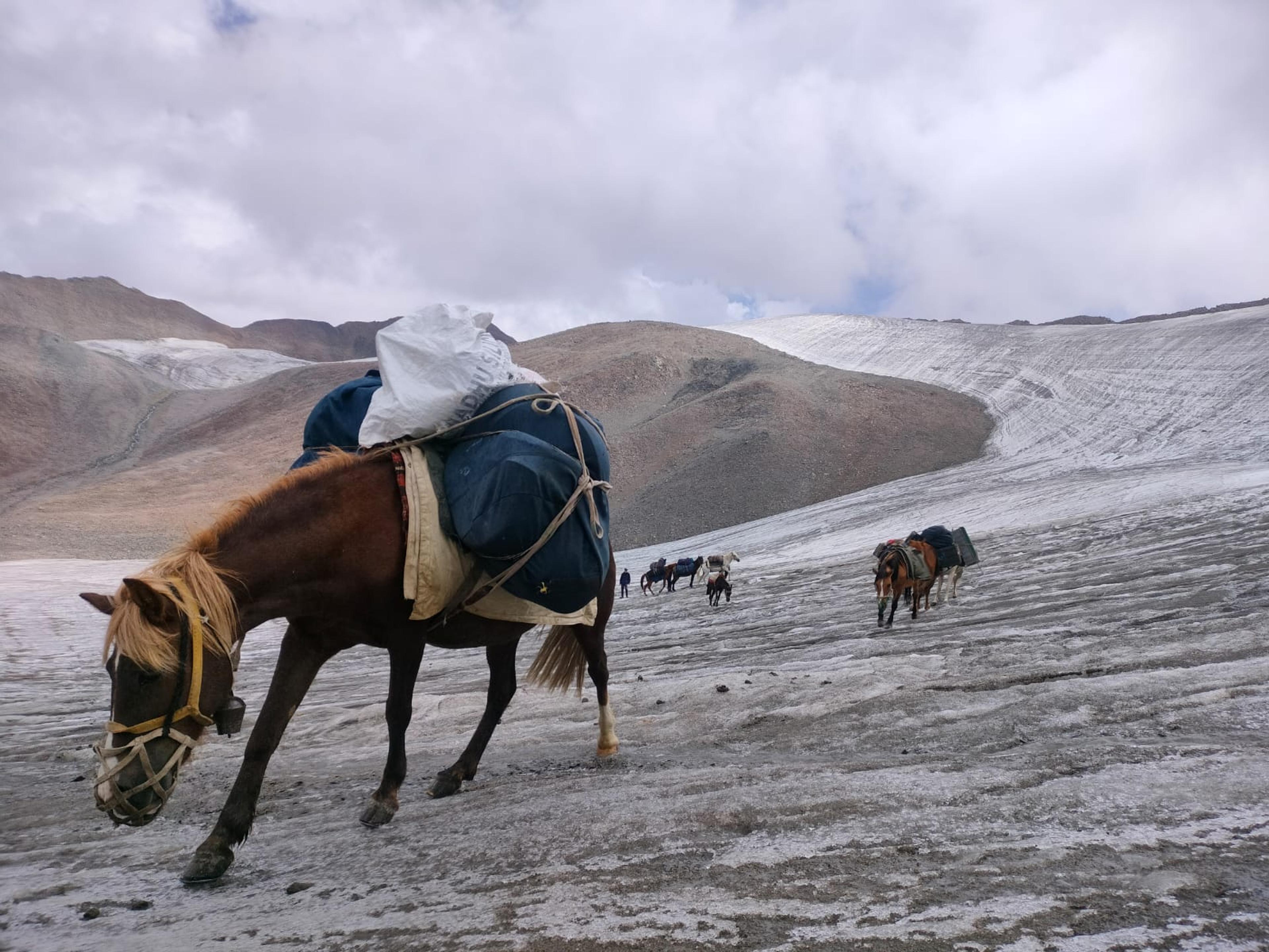 Loaded pack horses crossing a glacier near a high pass, with a horseman behind and brown ridges under cloud