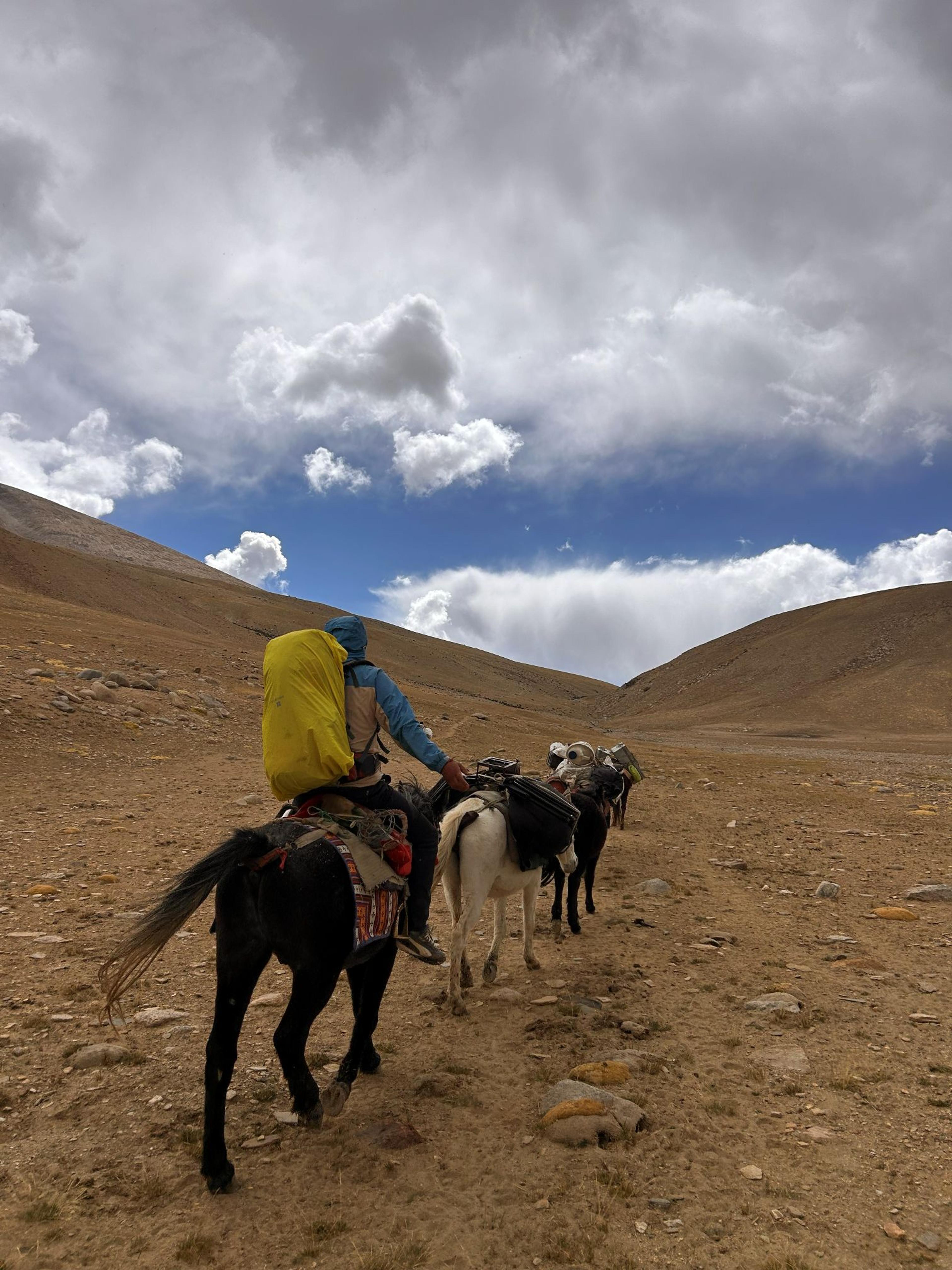 : A trekker riding a horse leading a pack horse caravan loaded with expedition gear across a vast arid valley in Ladakh under a dramatic cloudy sky