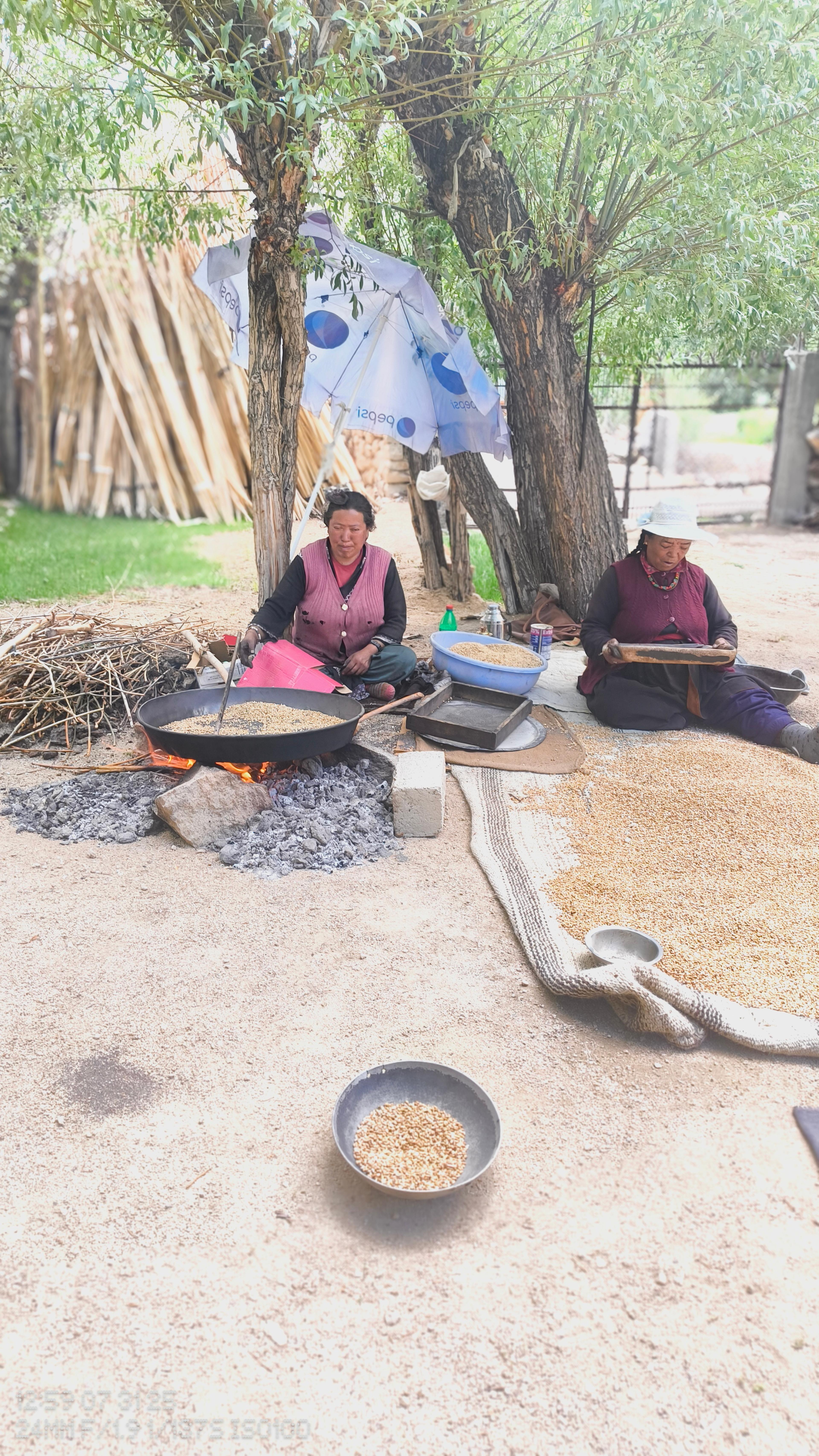 Two Ladakhi women roasting and sorting barley grain over a wood fire under willow trees
