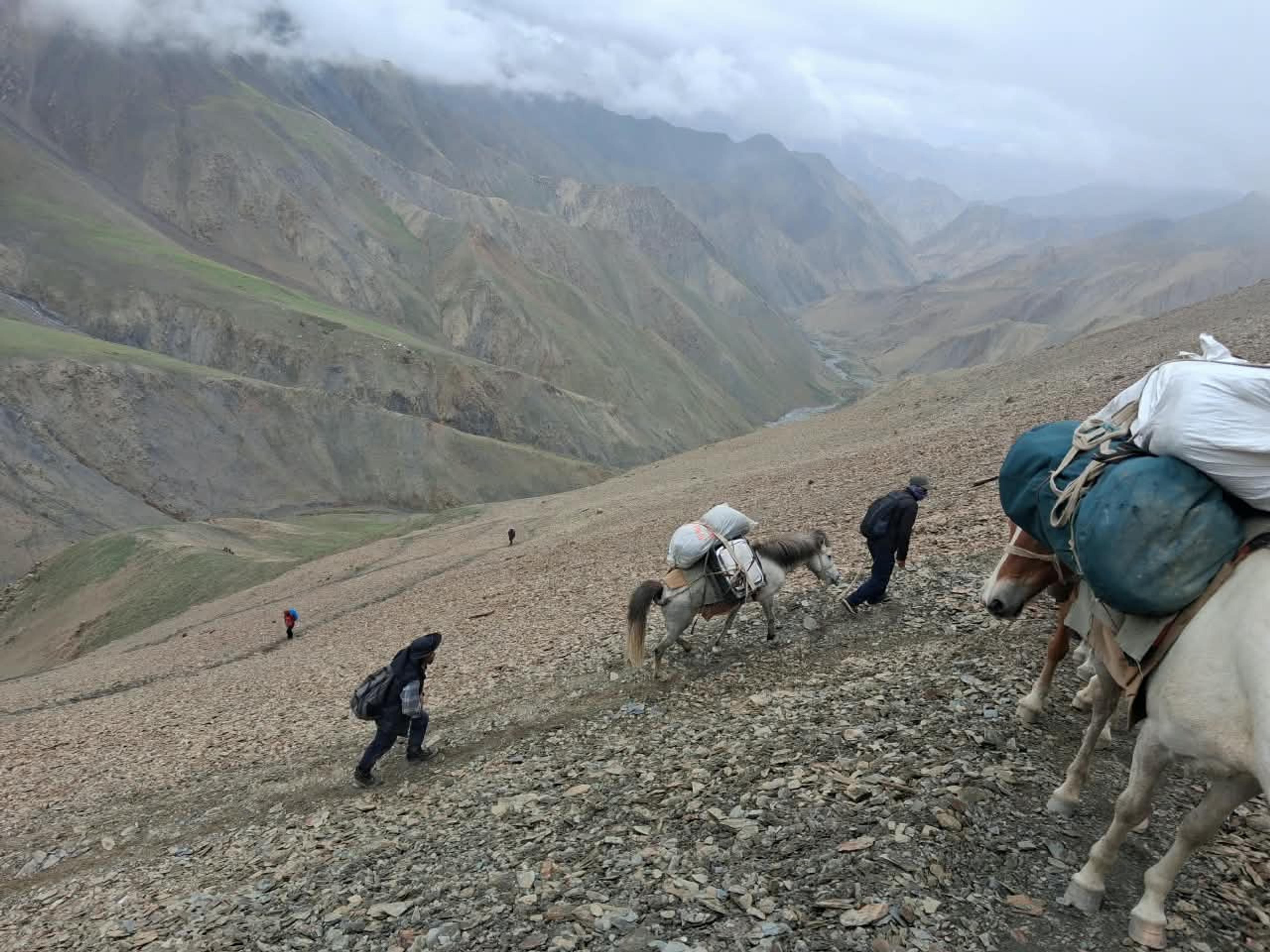 Trekkers and loaded pack horses climbing a steep scree slope high above a deep green valley, under low cloud