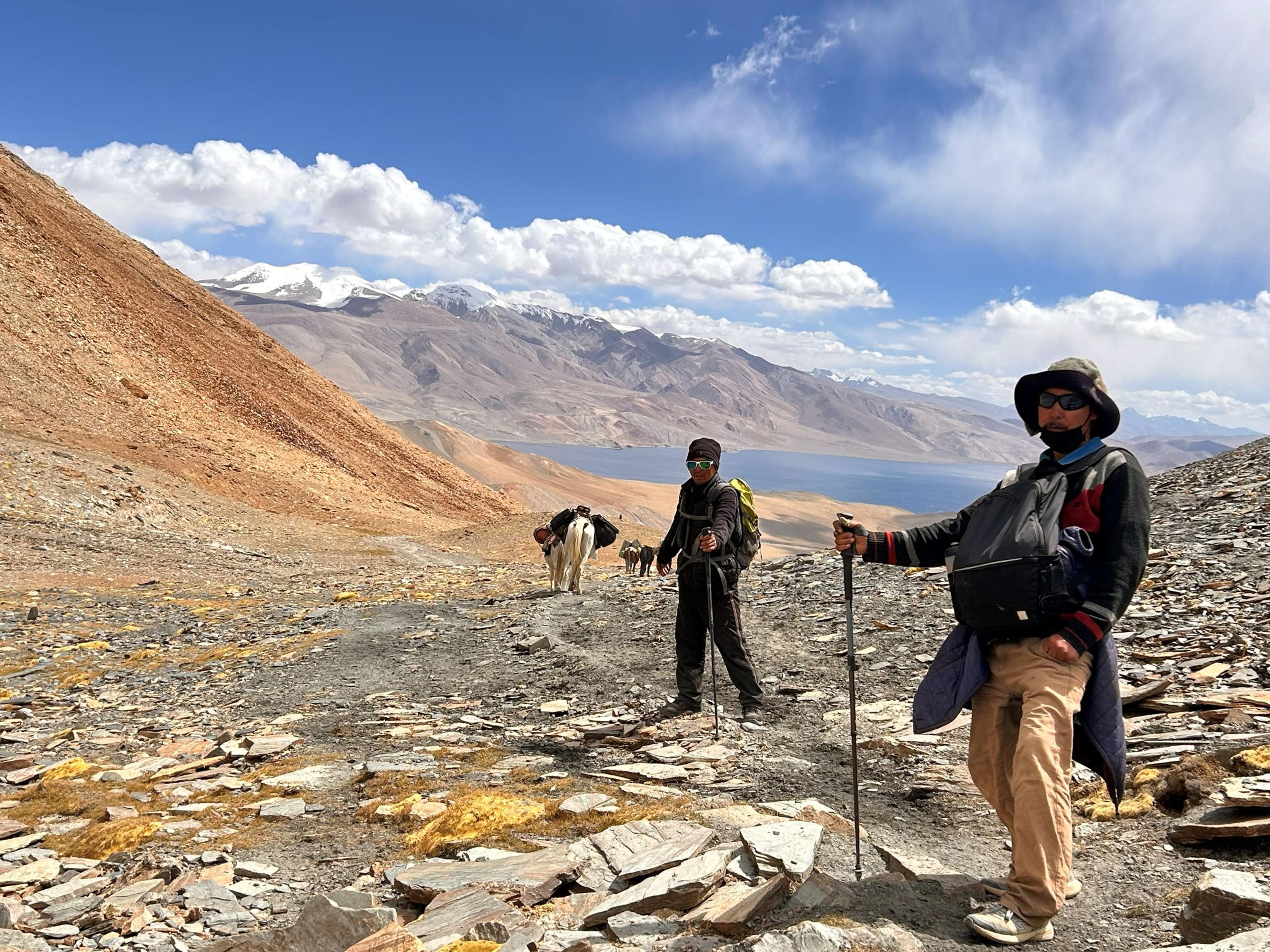 Two trekkers with trekking poles on a rocky high-altitude trail above Tso Moriri lake with a horse caravan behind them, surrounded by vast golden-brown valleys and snow-capped peaks in Ladakh