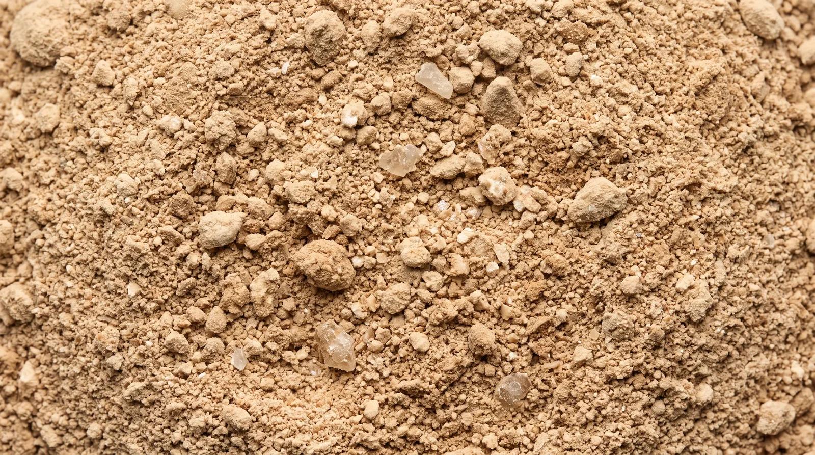 Boswellia Serrata