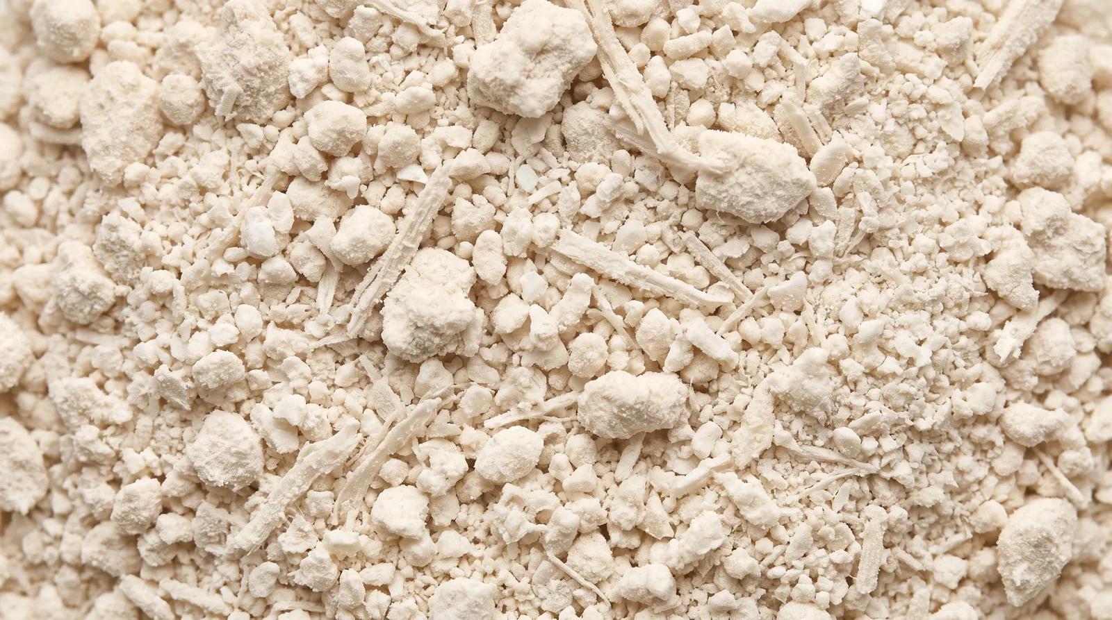 Lactobacillus rhamnosus GG