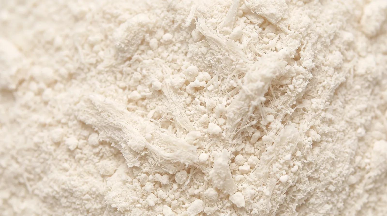 Type II Collagen