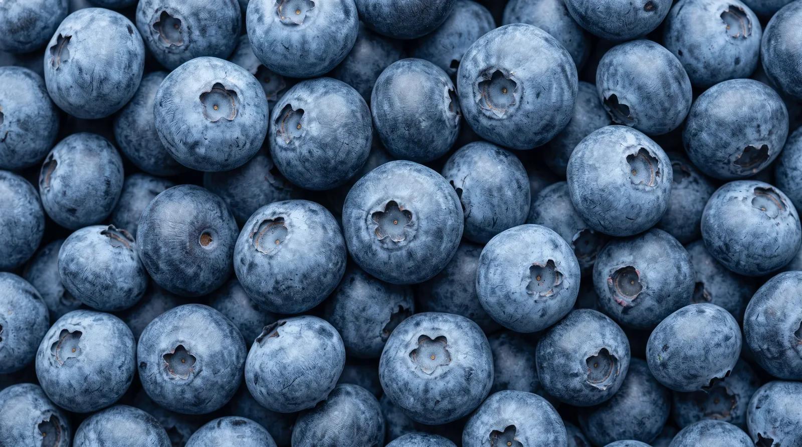 Blueberry Anthocyanins