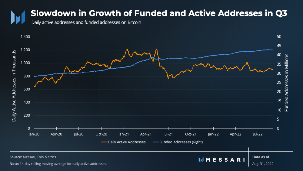 Xem kích thước đầy đủ
