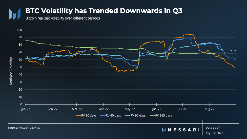 Xem kích thước đầy đủ