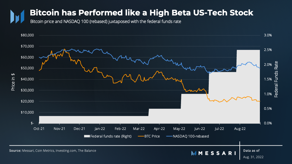 Xem kích thước đầy đủ
