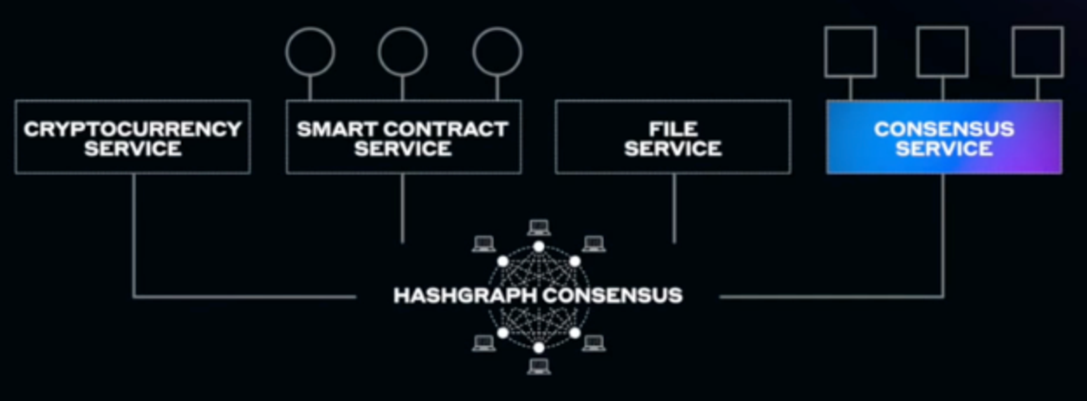 Hashing it out with Hedera Hashgraph | Messari