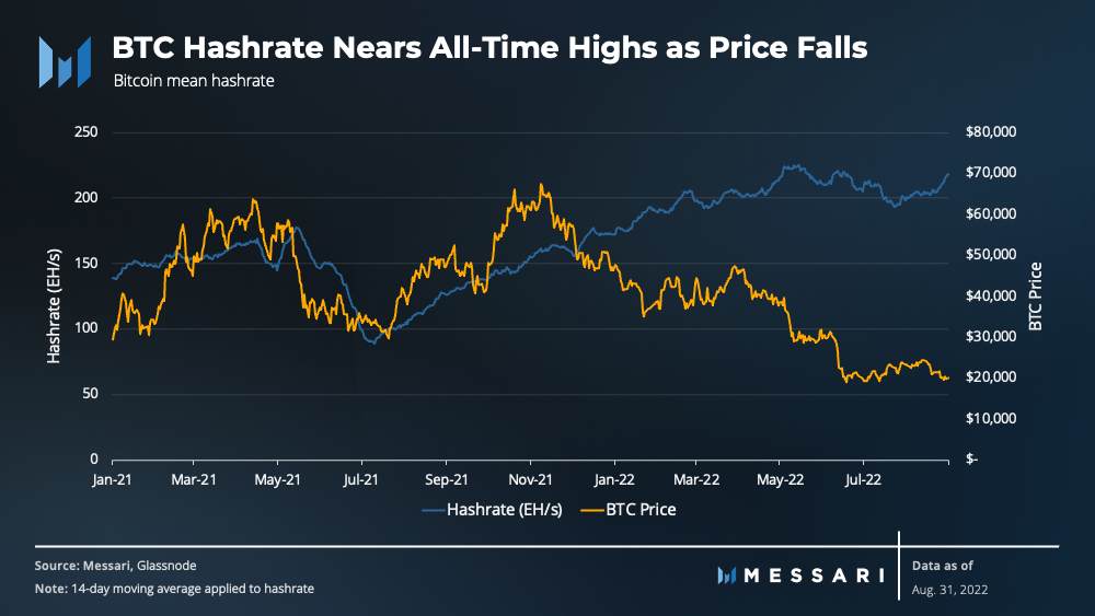 Xem kích thước đầy đủ