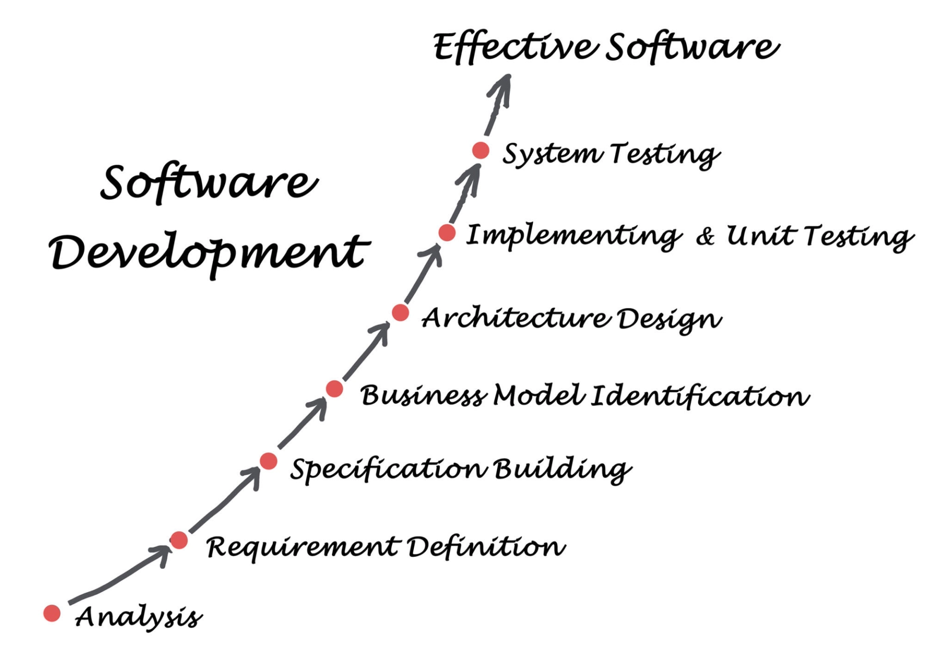A root to effective software