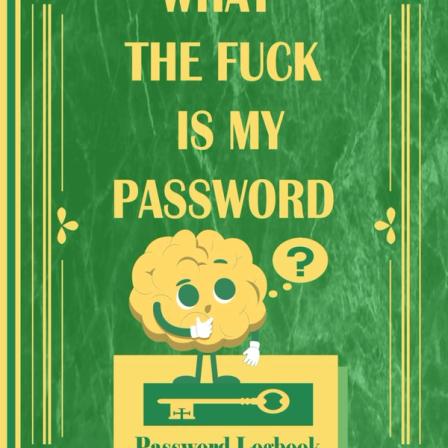 Product Image of What the fuck is my password: Password logbook