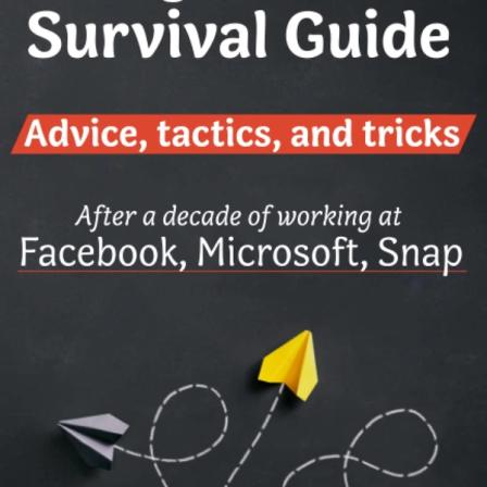 Product Image of Engineers Survival Guide: Advice, tactics, and tricks