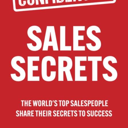 Product Image of Sales Secrets: The World's Top Salespeople Share Their Secrets to Success