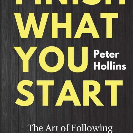 Product Image of Finish What You Start by Peter Hollins