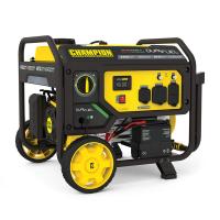 Champion 4750/3800W Dual Fuel Generator, Electric Start, 201052