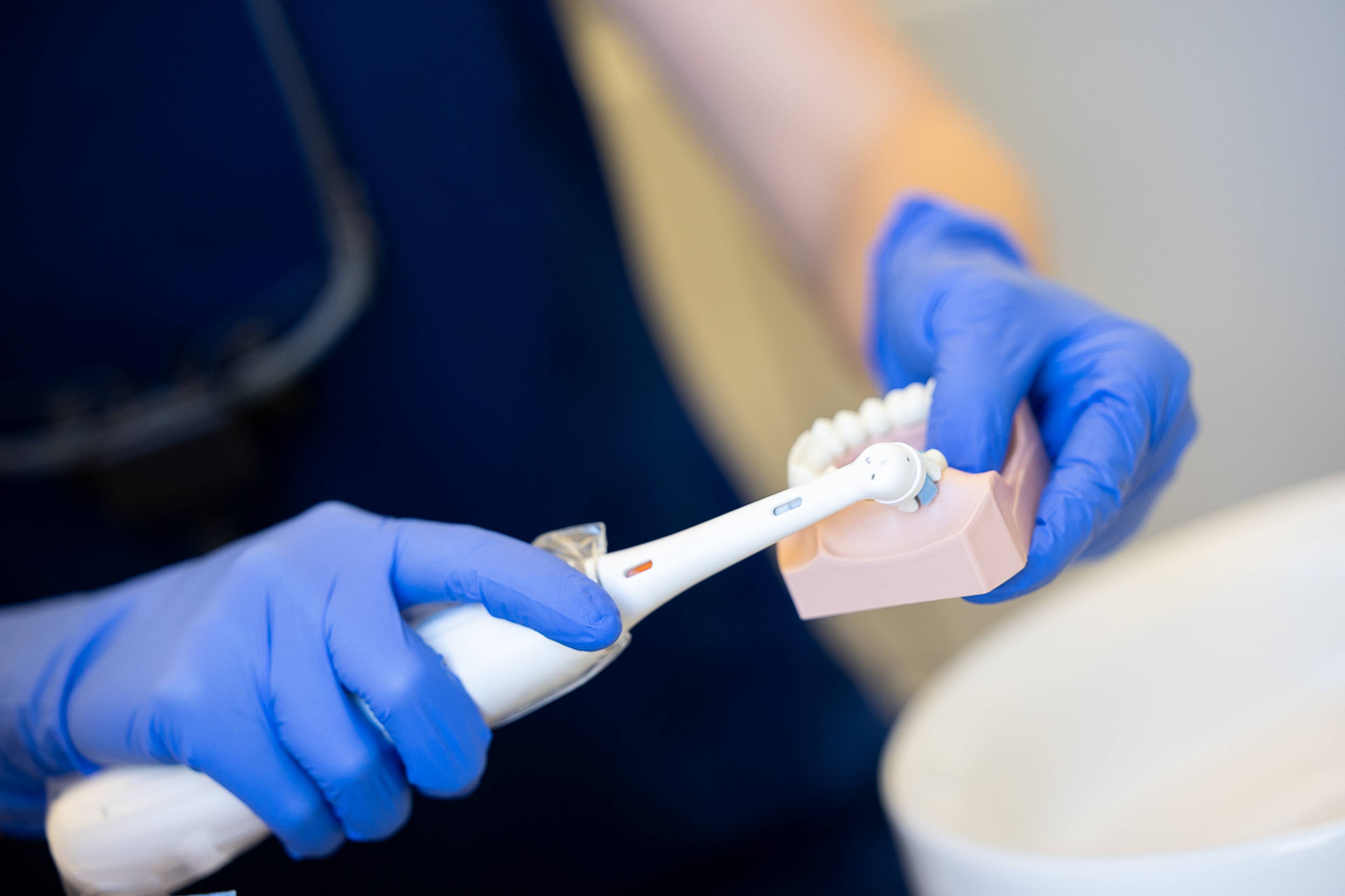 A dental hygienist demonstrating brushing technique on a model of teeth