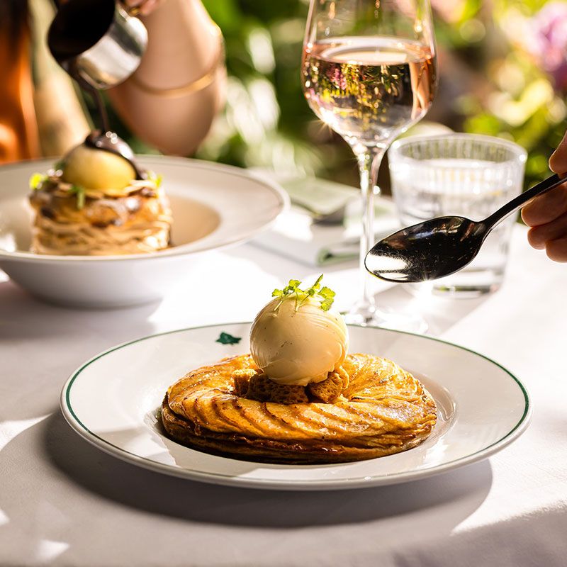 The Ivy